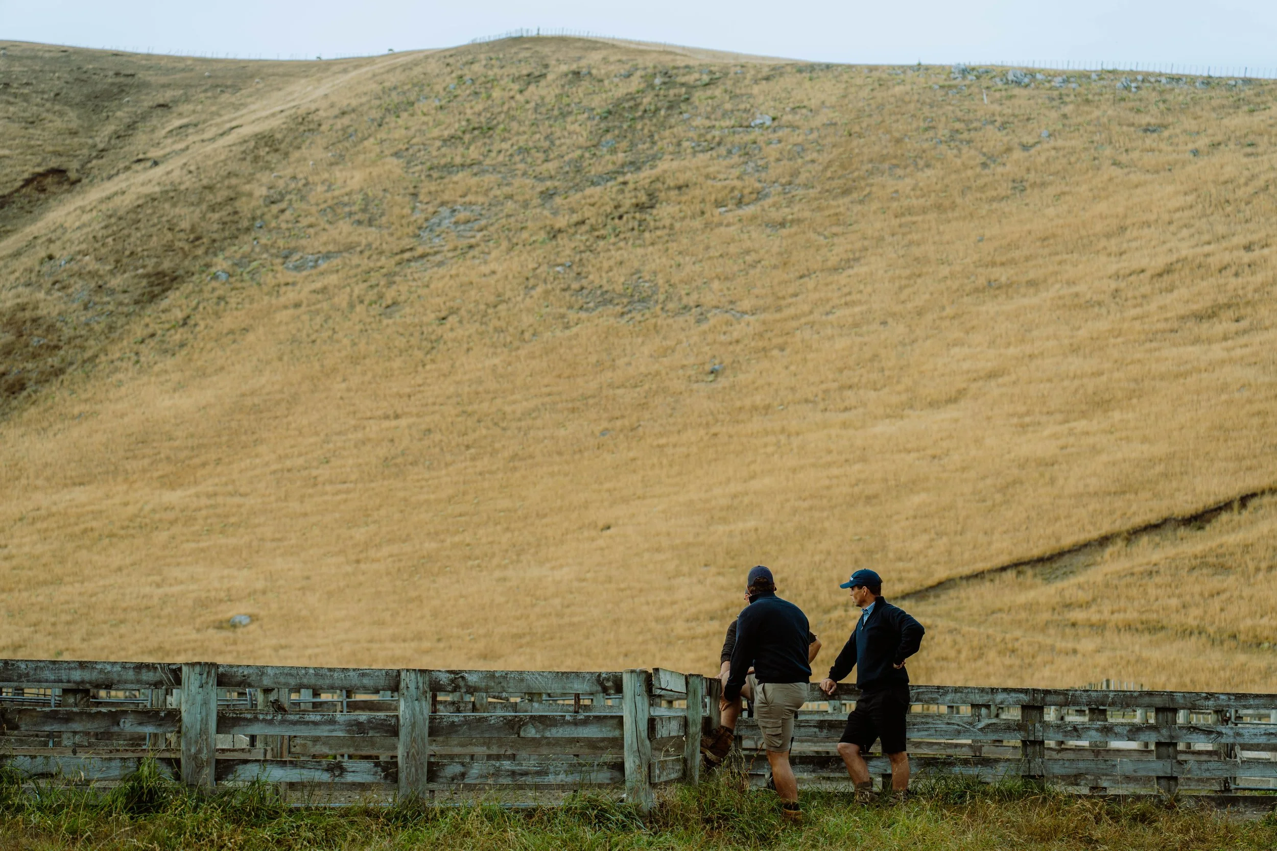 Two men walking along a wooden fence in front of a large grassy hill with a fence along the top.