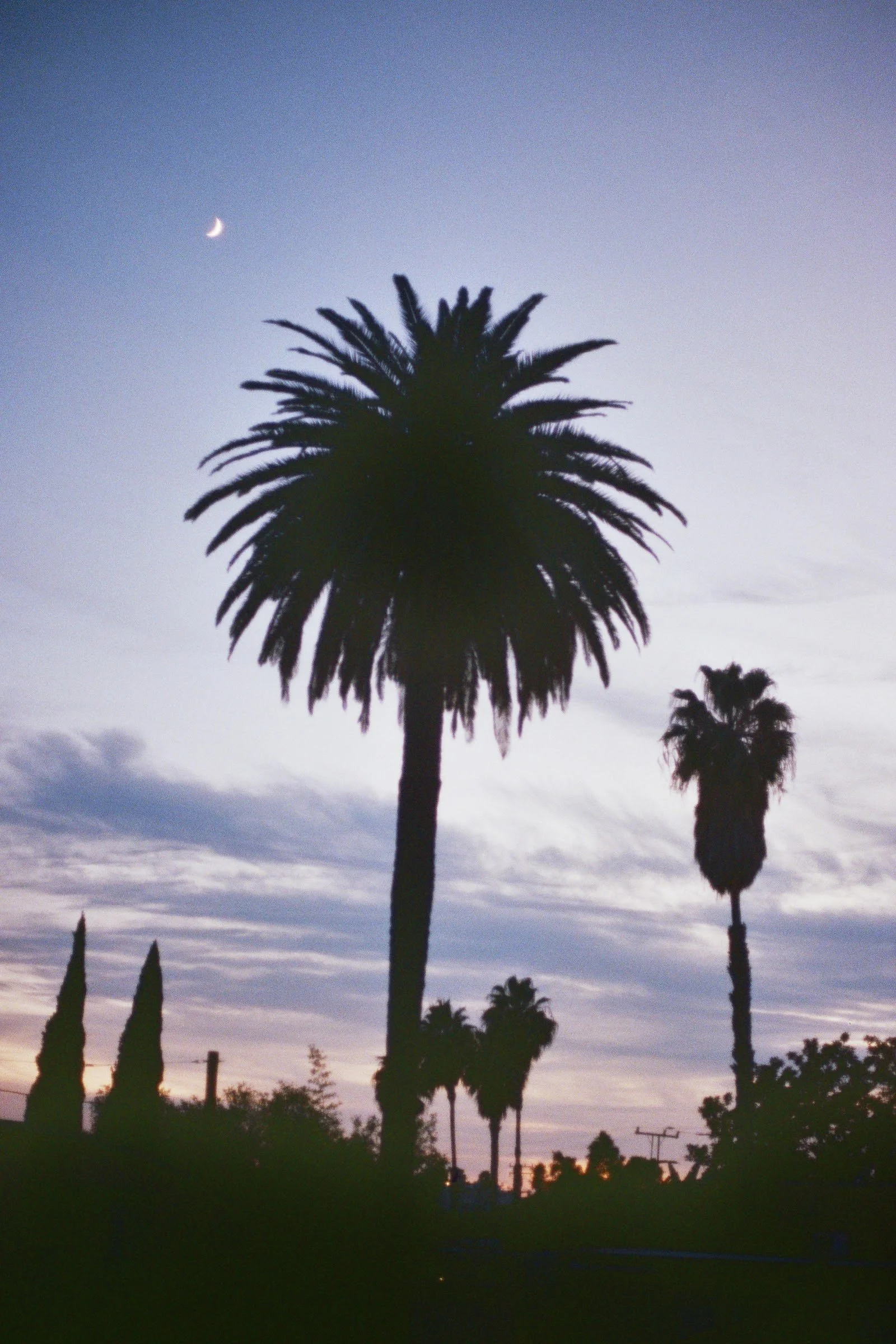 32A_00136.jpg