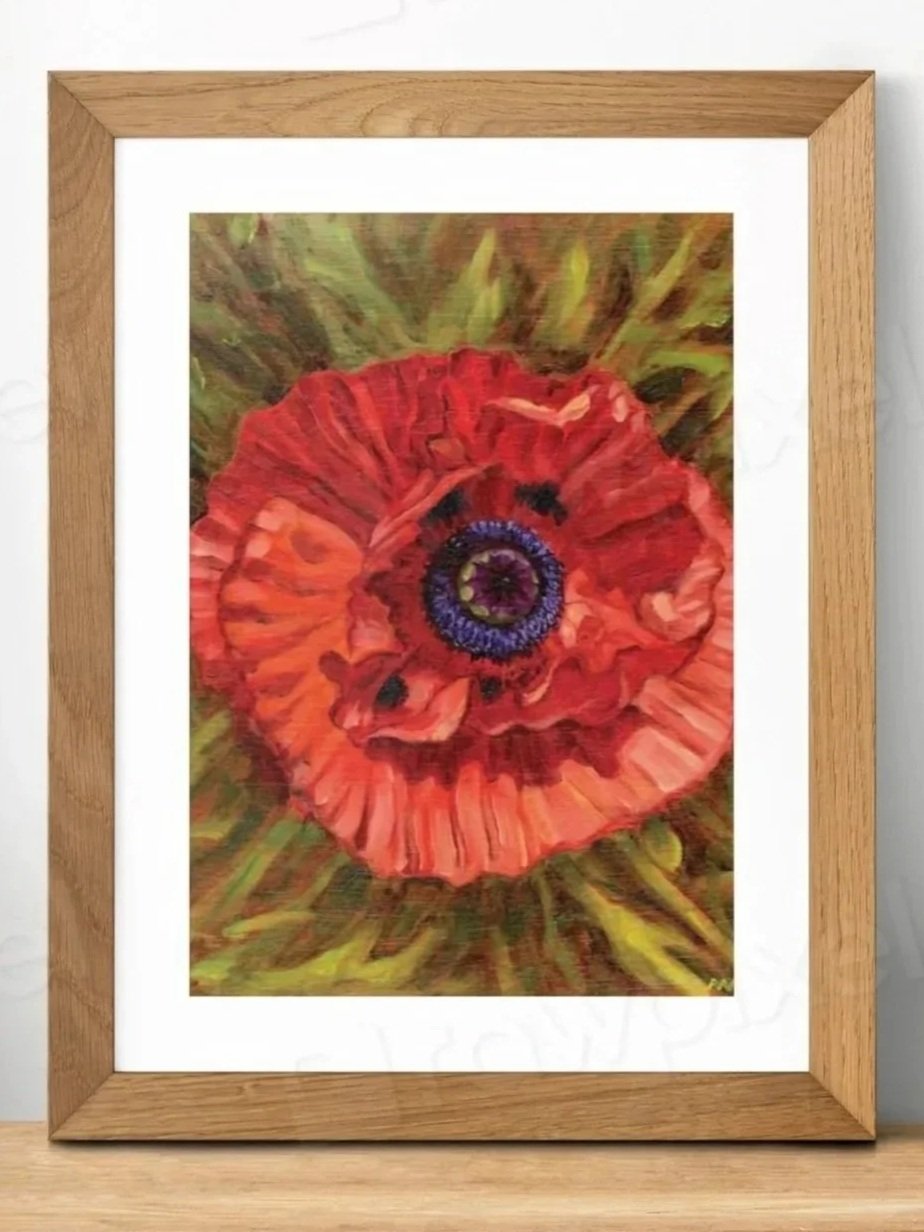 Orange Poppy in Full Sun - Digital Print