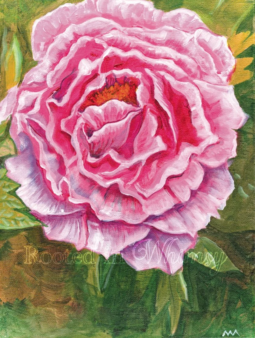 Pink Peony Web rgb 100dpi watermark.jpg