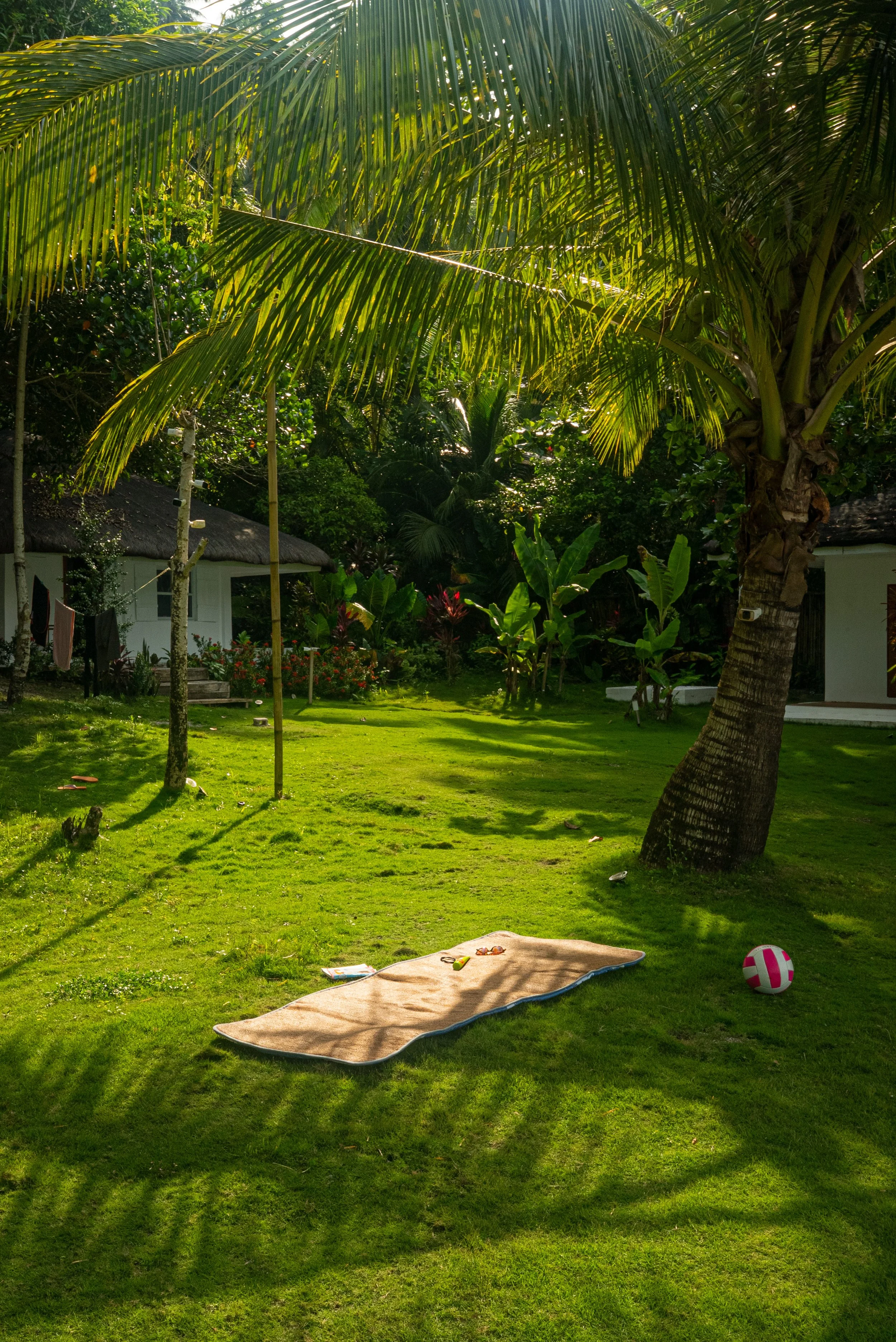 Jardin verdoyant avec un palmier, un tapis de sol, une balle de plage, et une maison avec un toit en chaume en arrière-plan.
