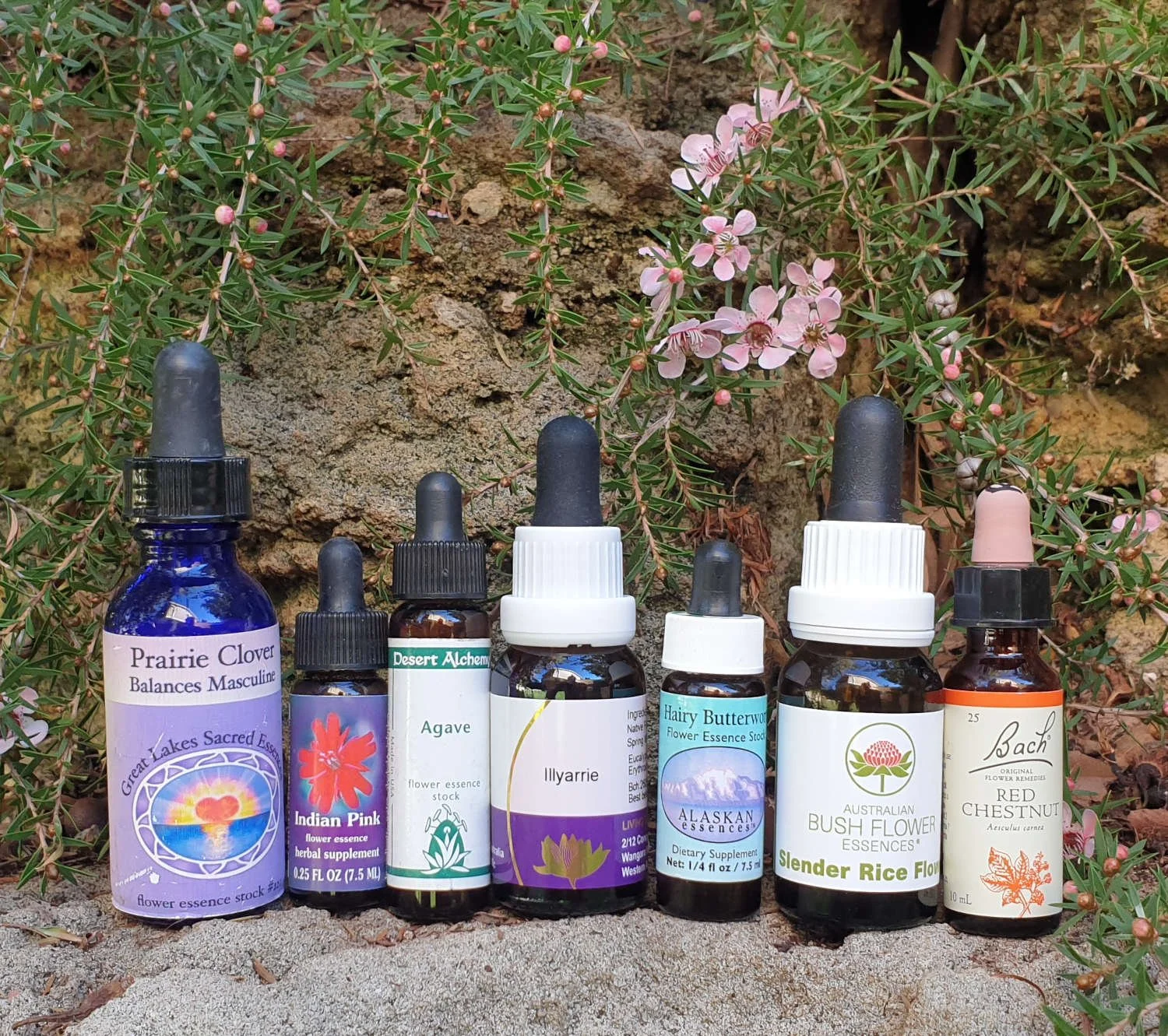 flower essence dropper bottles from different brands