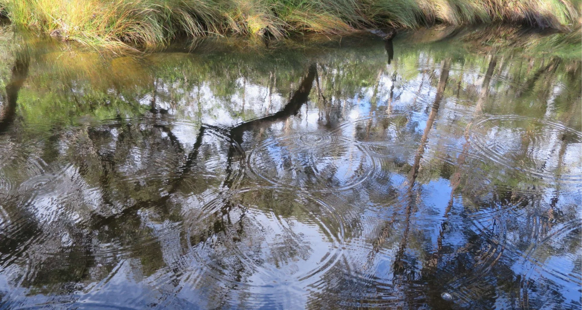 water droplets falling on the water