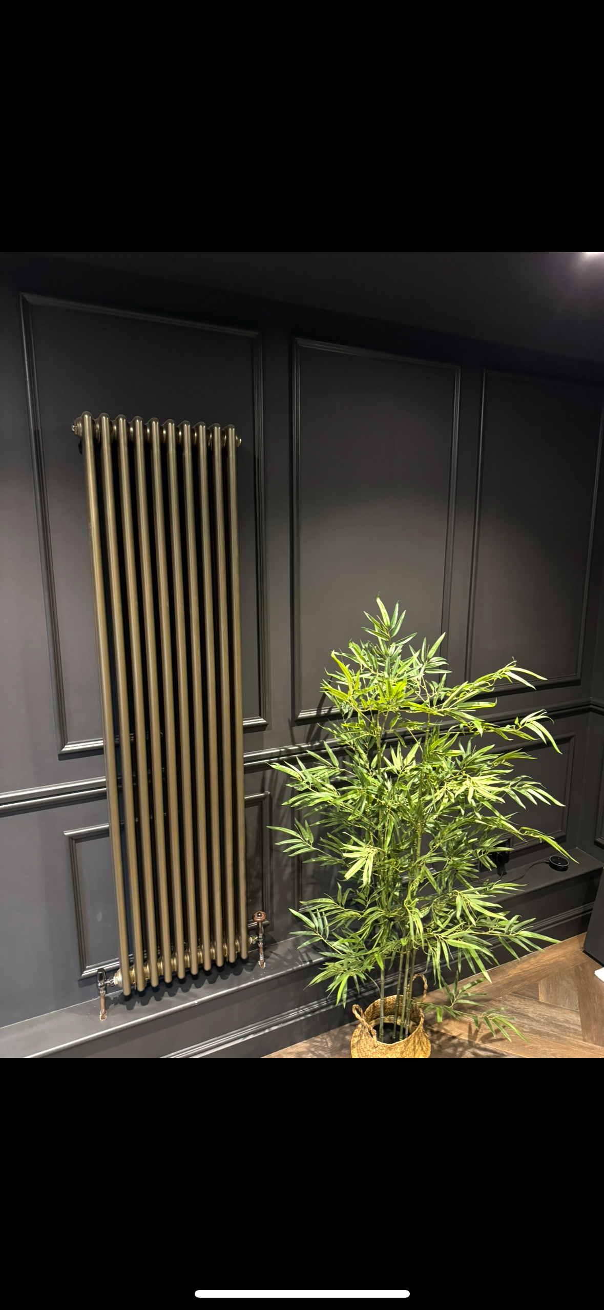 A black wall with decorative paneling, a gold vertical radiator, and a potted green plant with long, narrow leaves on a hardwood floor.