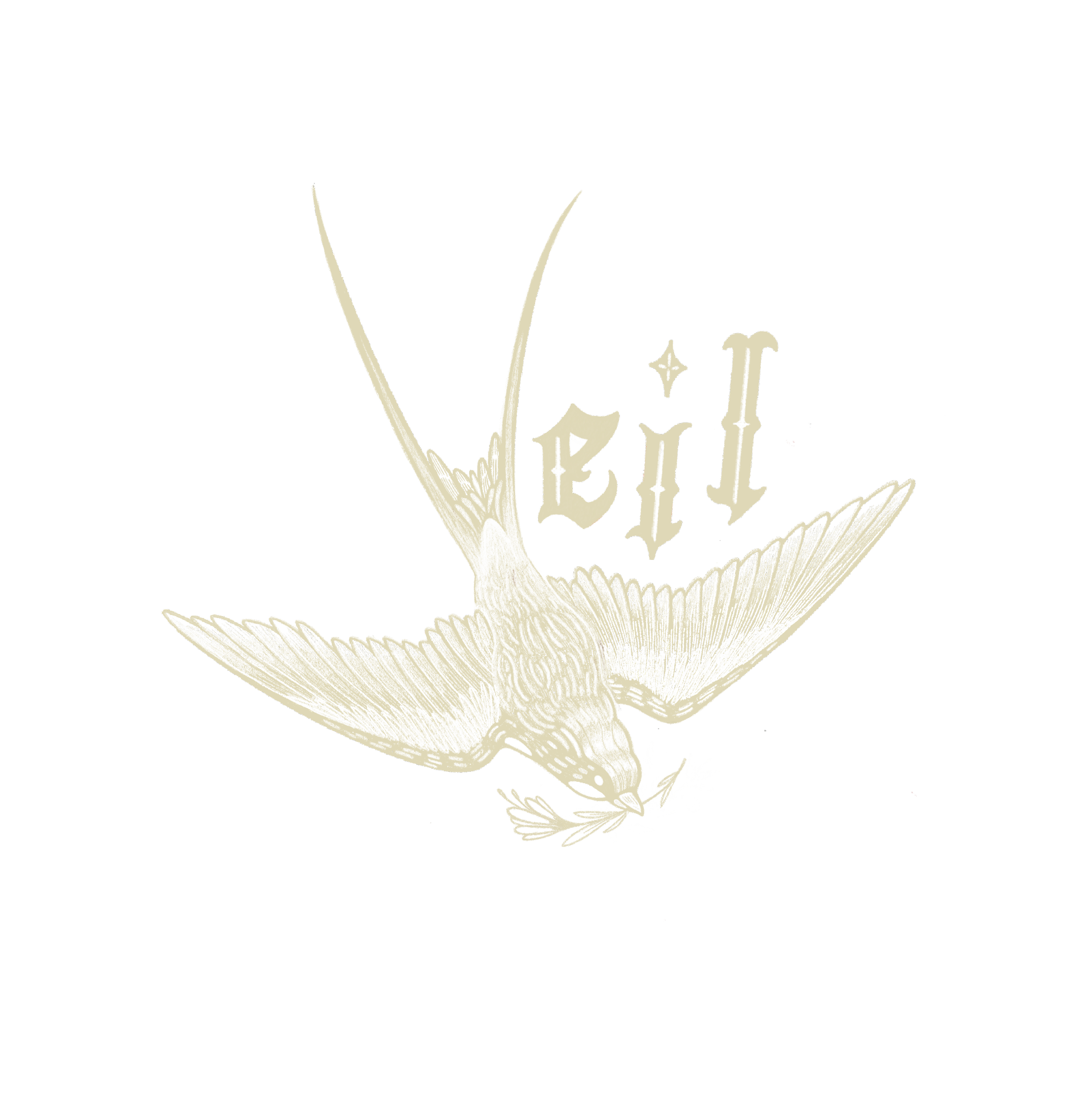 A black and white illustration of a sheaf of wheat with handwritten text 'Vedit' and a small star shape.