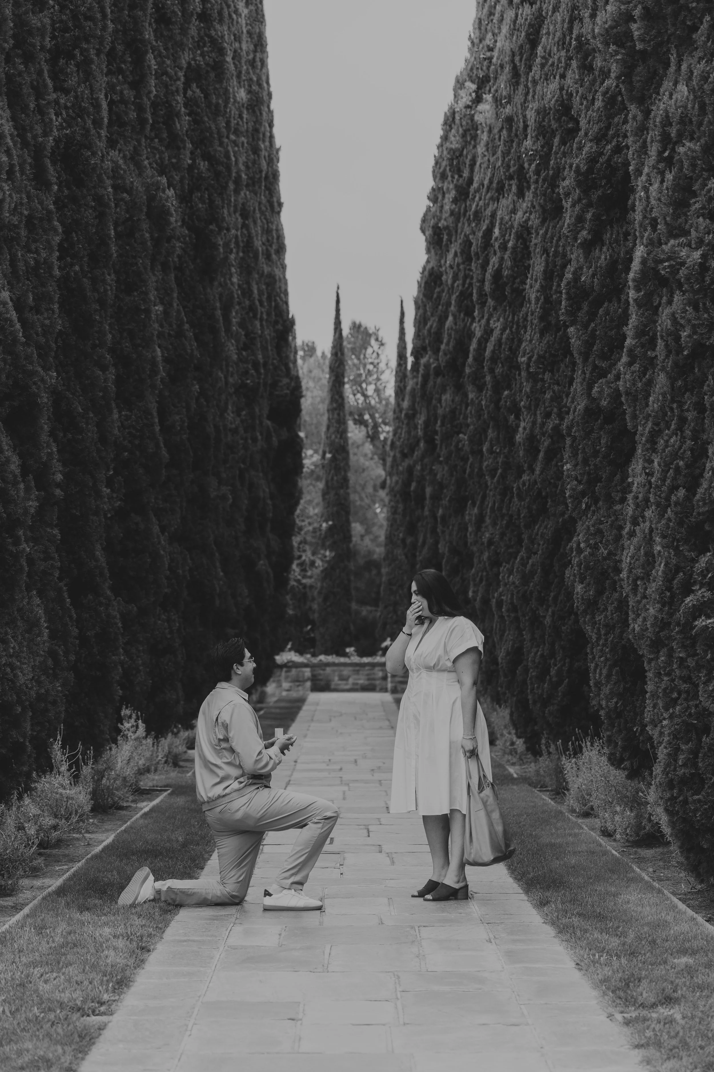 A man is kneeling on one knee proposing marriage to a woman on a pathway lined with tall trees. The woman is wearing a light-colored dress and carrying a bag, while the man is dressed casually. The scene appears to be in a garden or park.
