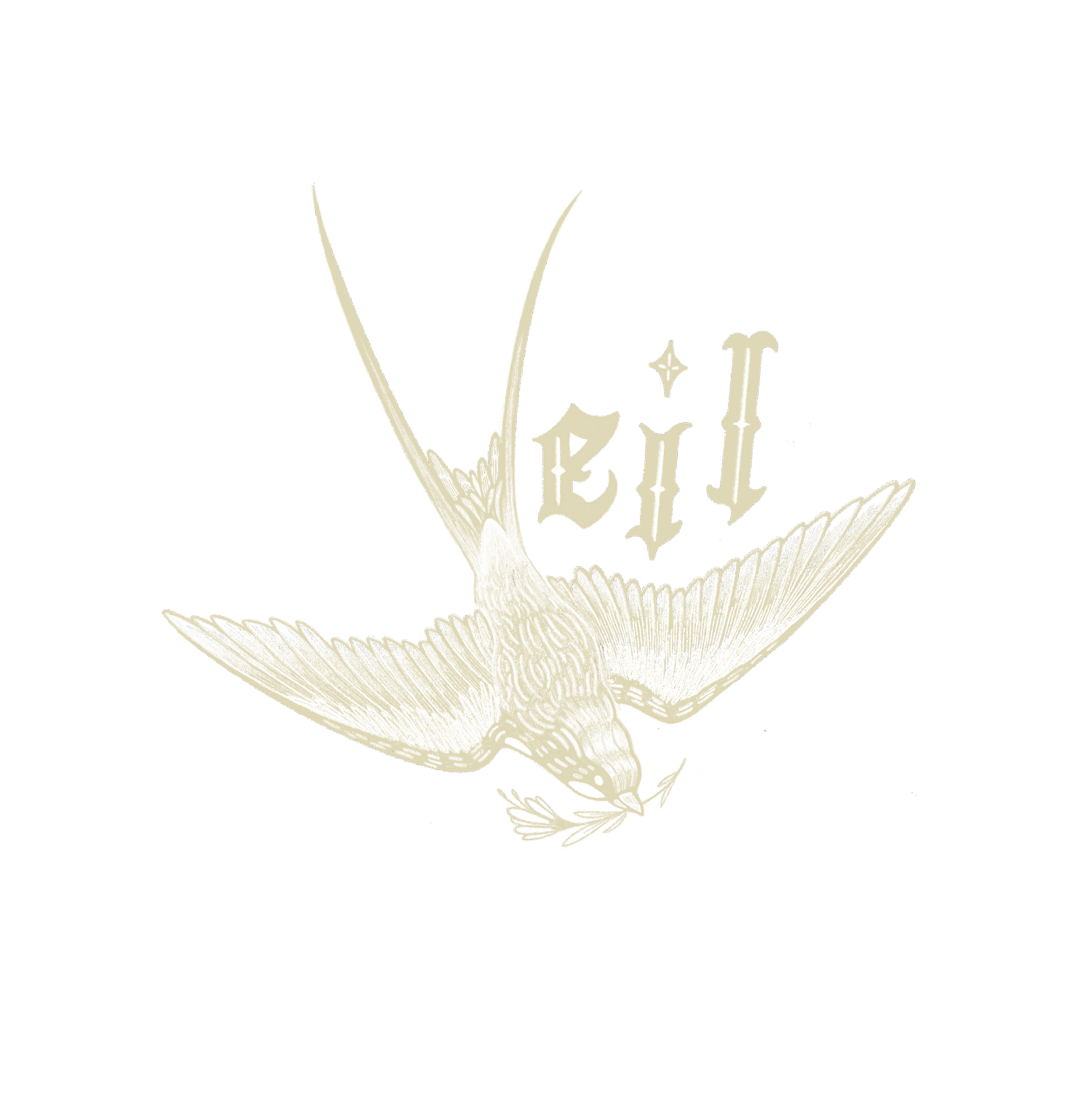 Veil Photography
