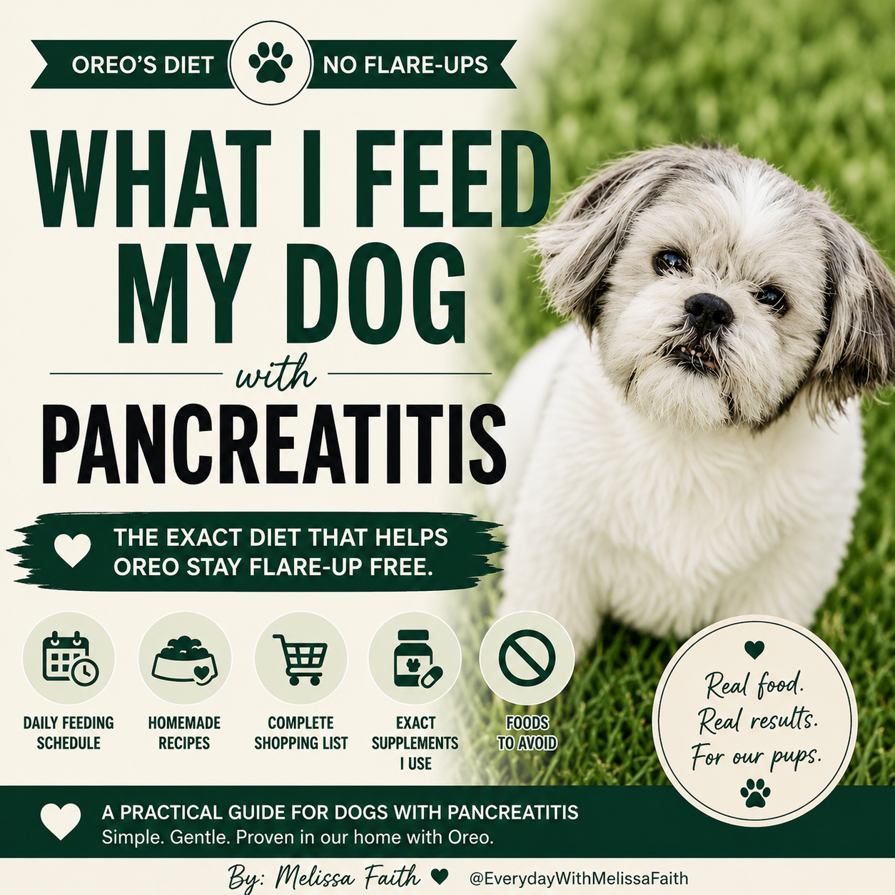 What I Feed My Dog with Pancreatitis - Oreo's Daily Feeding & Supplement Guide