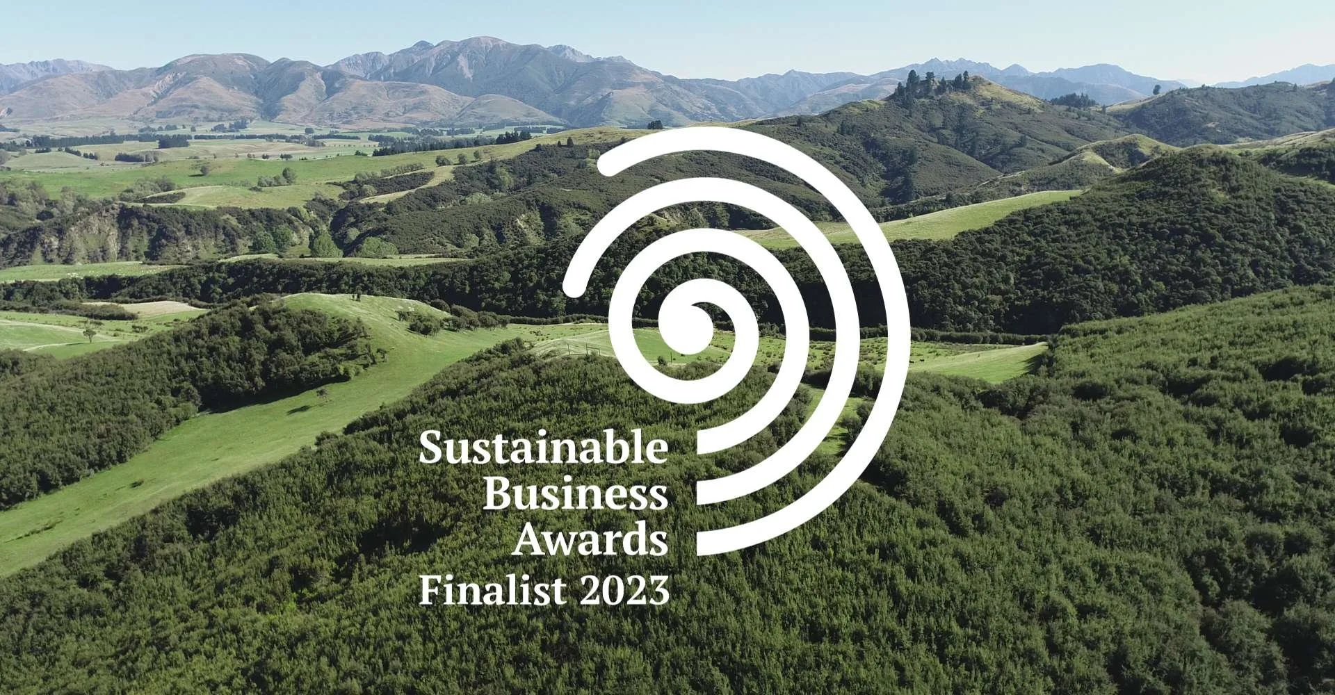 Thriving as a Finalist in the Sustainable Business Network Awards