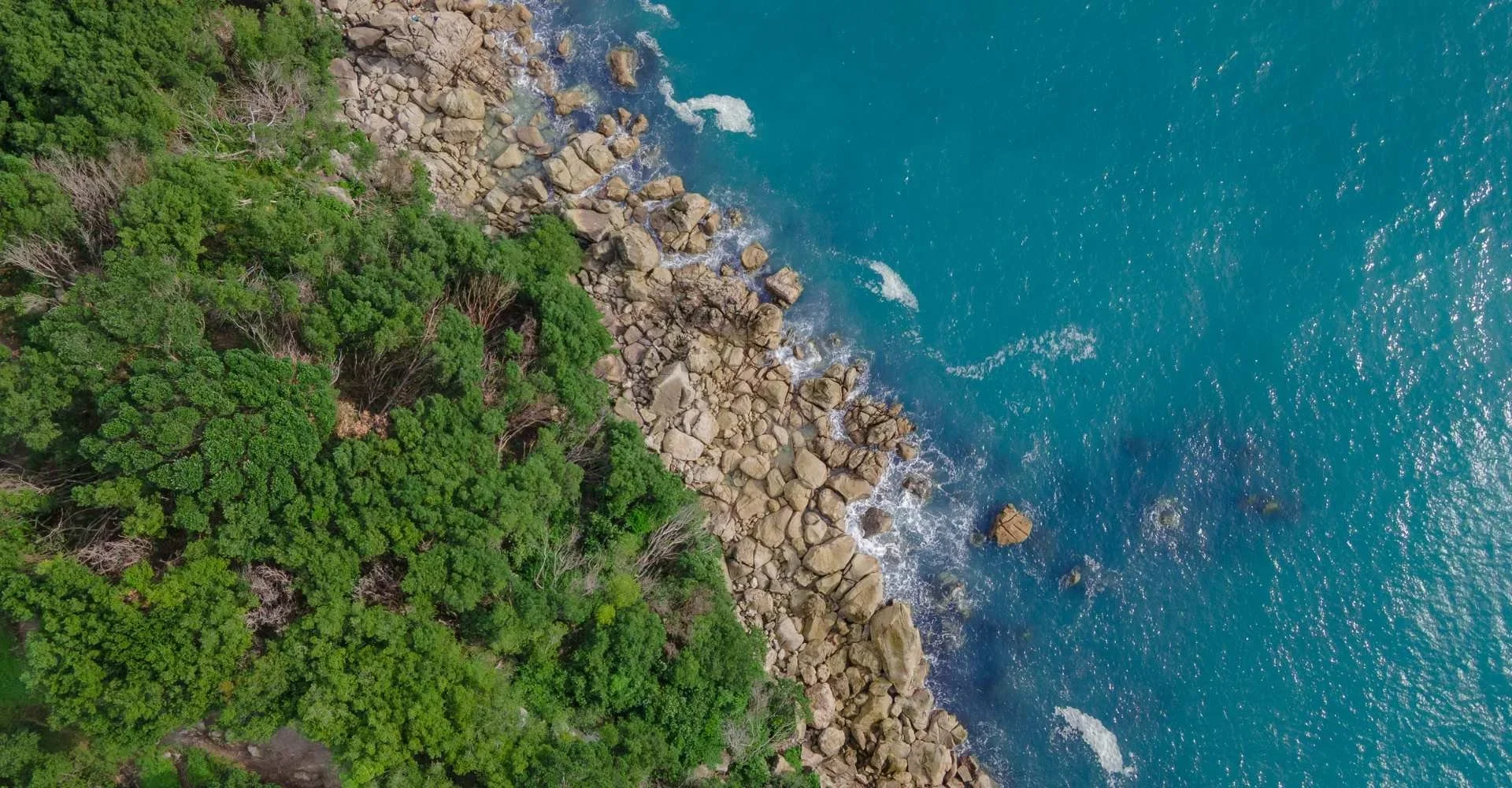 What Is Carbon Offsetting And What Does It Do? 