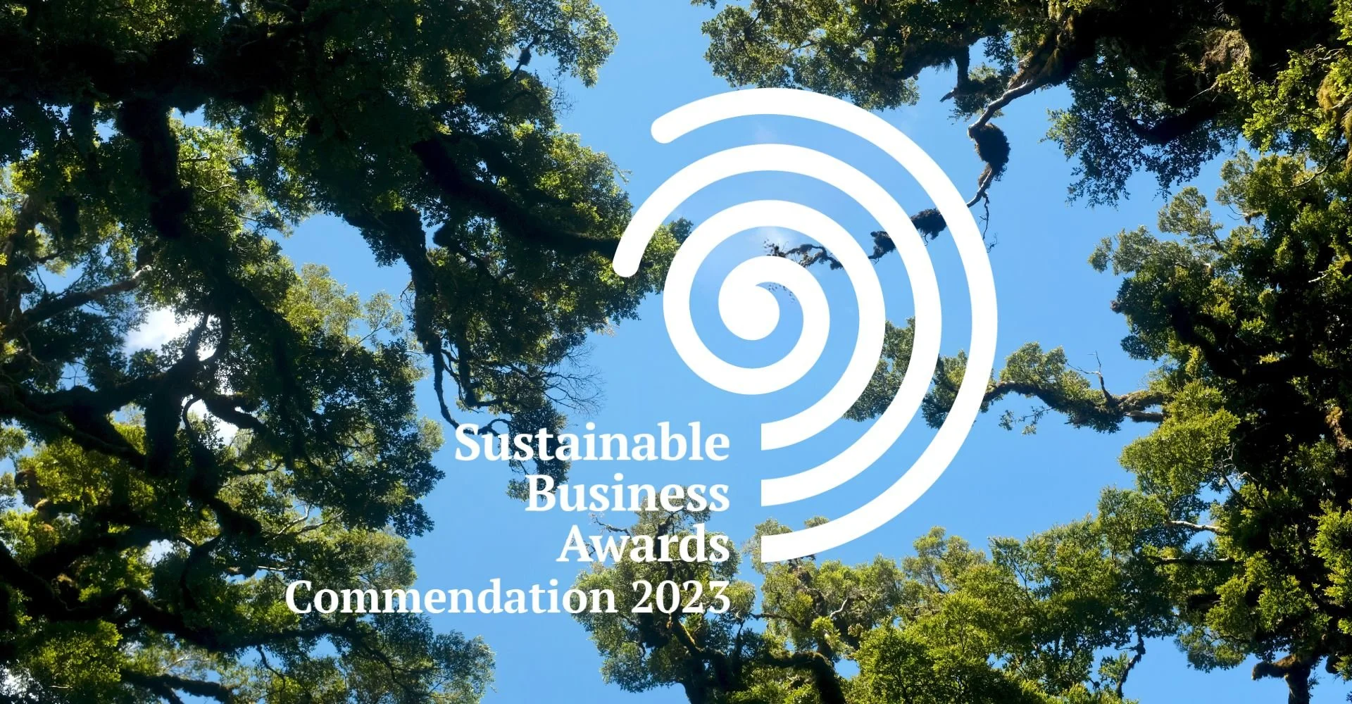 Looking up at a blue sky with trees and a sustainable business network commendation award logo on top