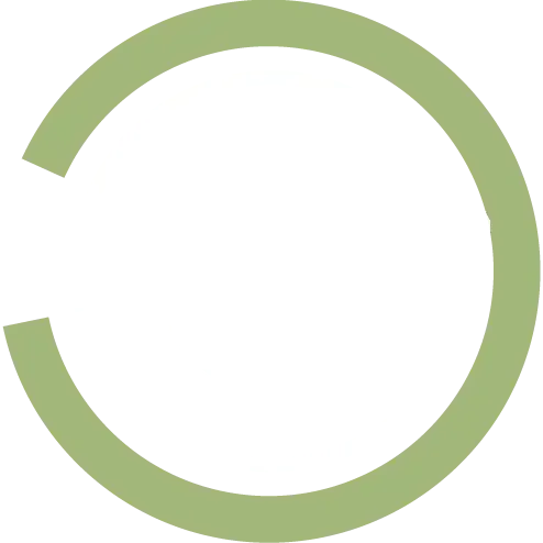 A circular infographic featuring a dartboard and bullseye, with the text "Corporate Carbon Strategy."