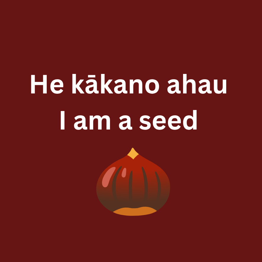 he+k%C4%81kano+ahau.png