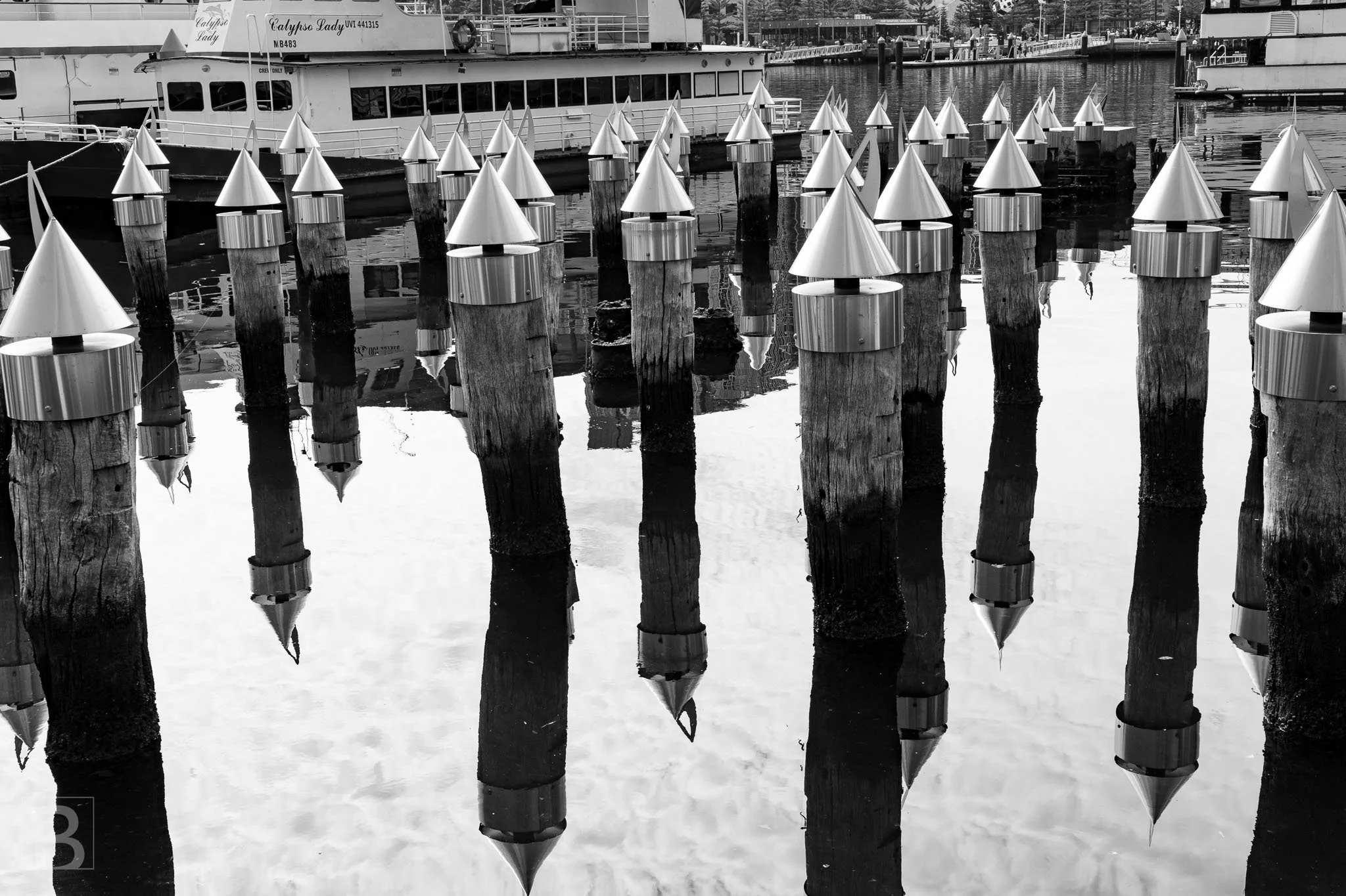 Working harbour posts become a graphic pattern of cones, verticals
and reflections in a calm monochrome composition.