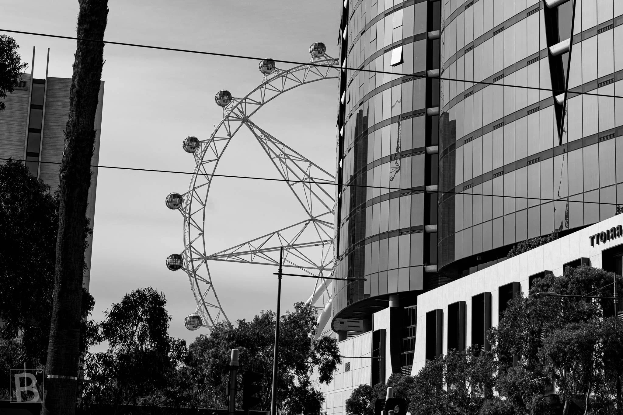 Black and white photograph of the Melbourne Star partially obscured by a curved glass building in Docklands, Melbourne.