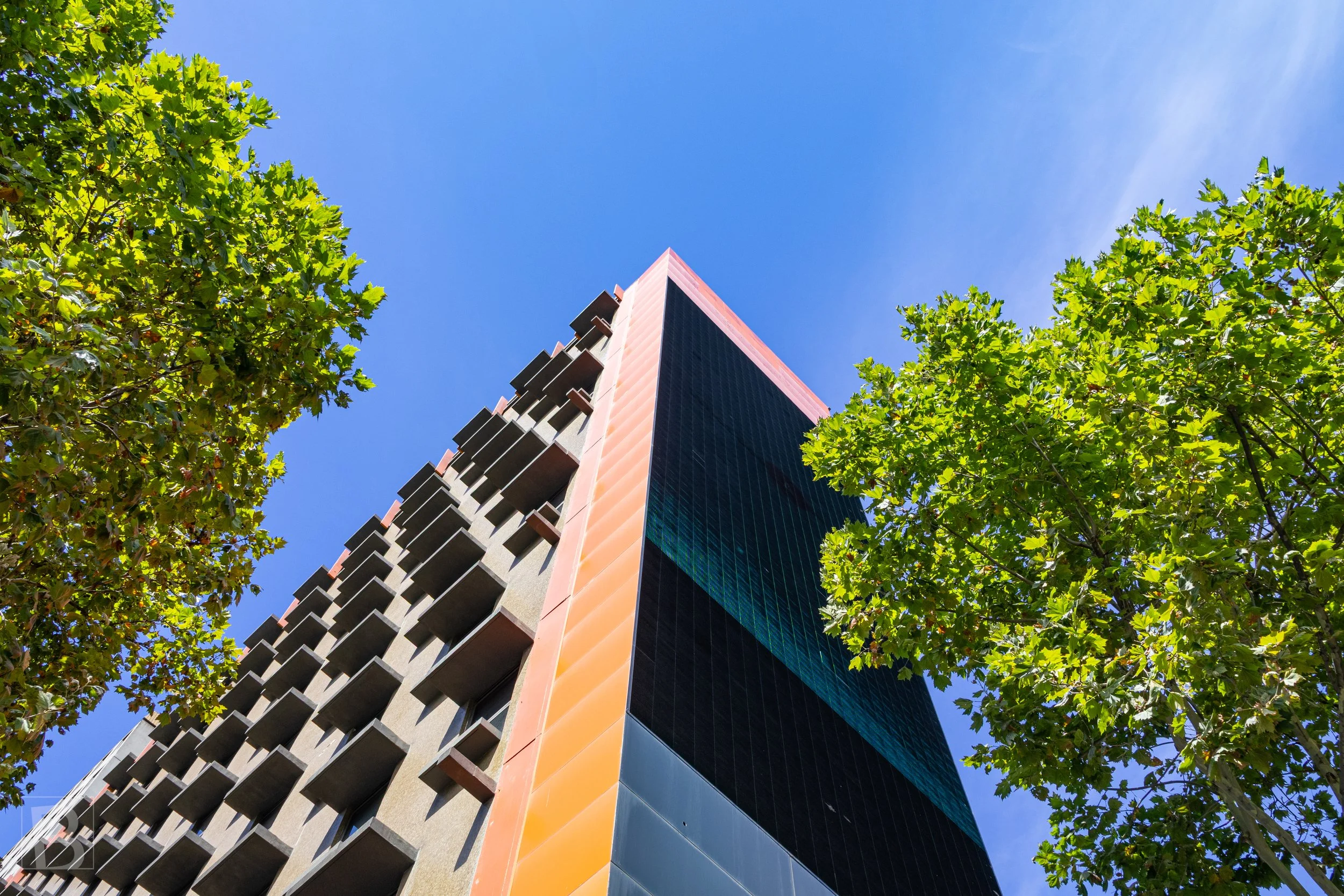 Strong colour and a sharply angled facade emerge from urban
foliage, contrasting constructed height with the softness of trees.