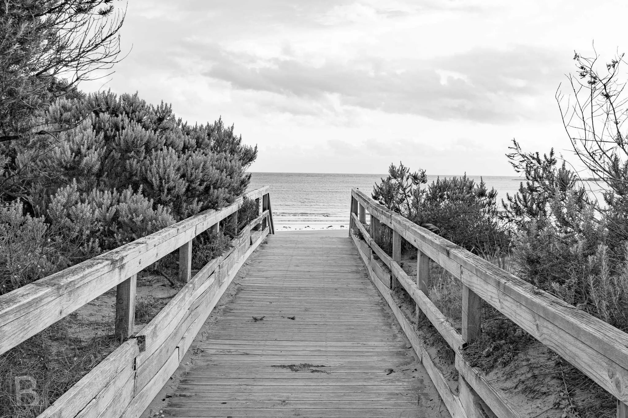 At Anglesea a weathered boardwalk draws the eye through coastal vegetation
toward the open sea in a calm monochrome composition.