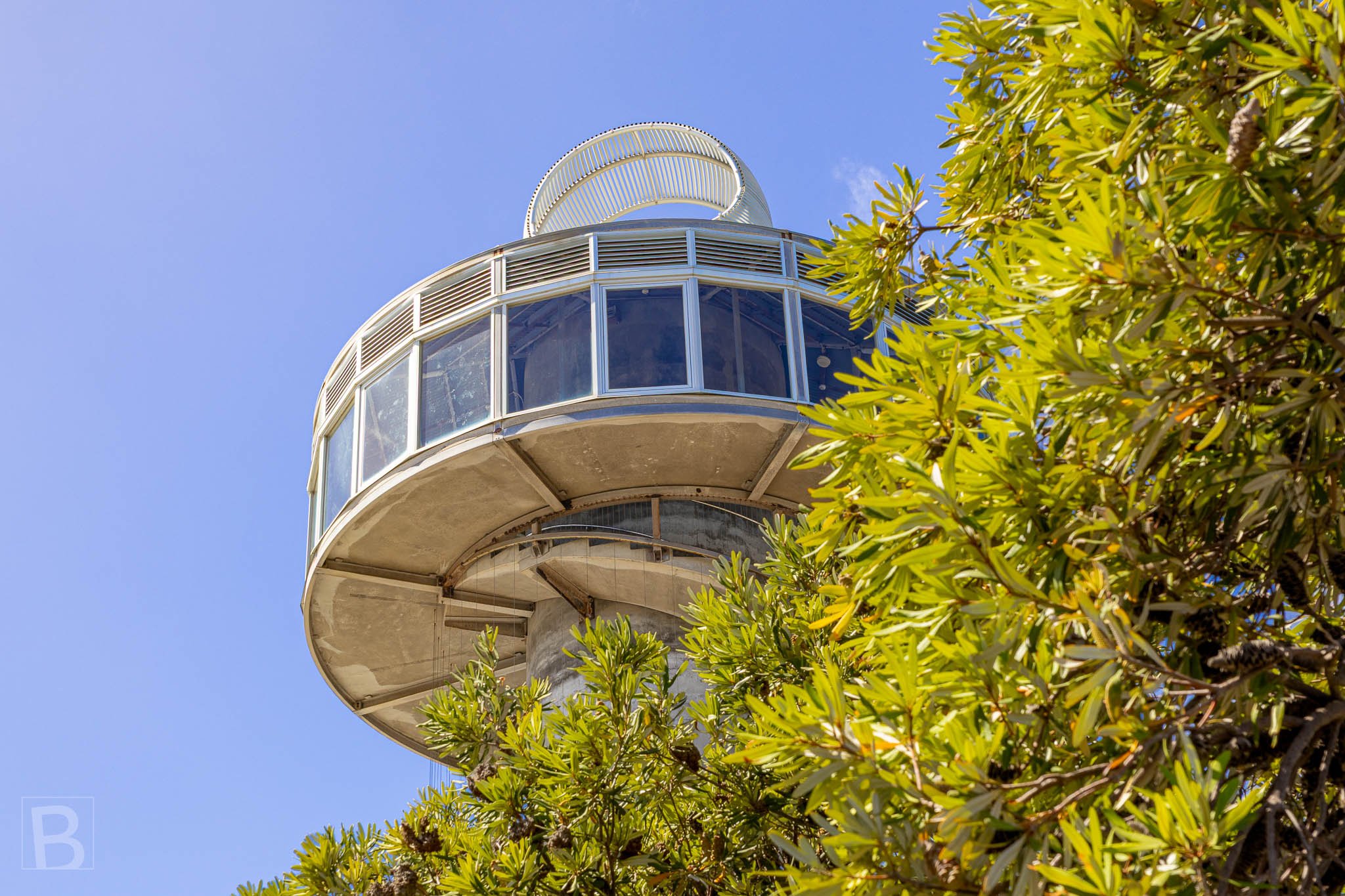 Queenscliff Harbour's distinctive observation tower emerges from the
treetops, its circular form contrasting with dense foliage.