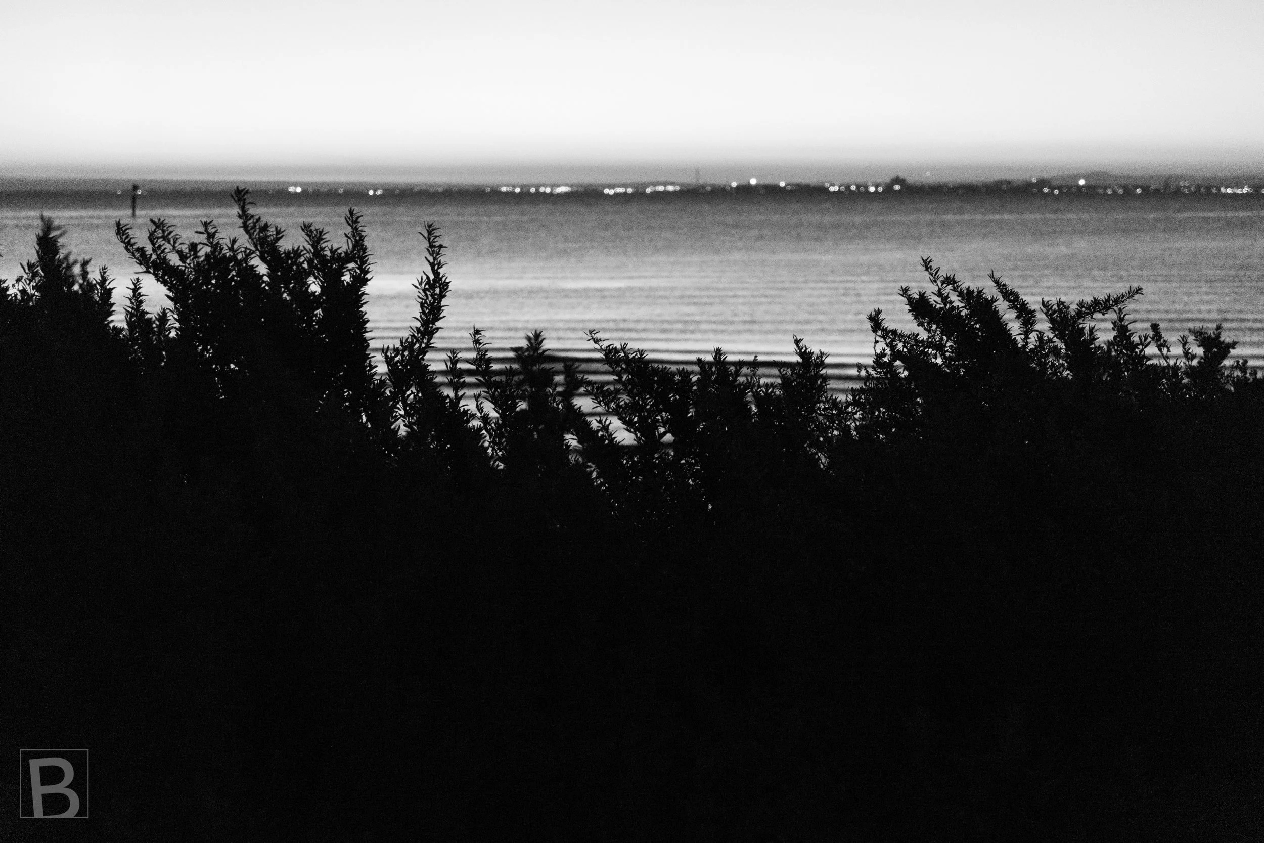 Distant lights trace the far shore beyond dark vegetation and still
water in a quiet black-and-white coastal view.