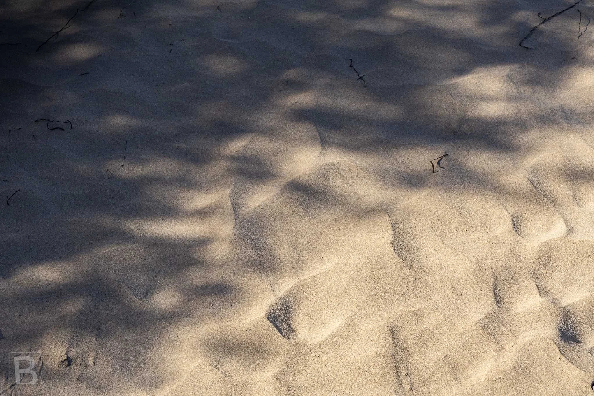 Subtle tracks and shifting shadows create an ephemeral drawing
across textured sand, recording a moment already disappearing.