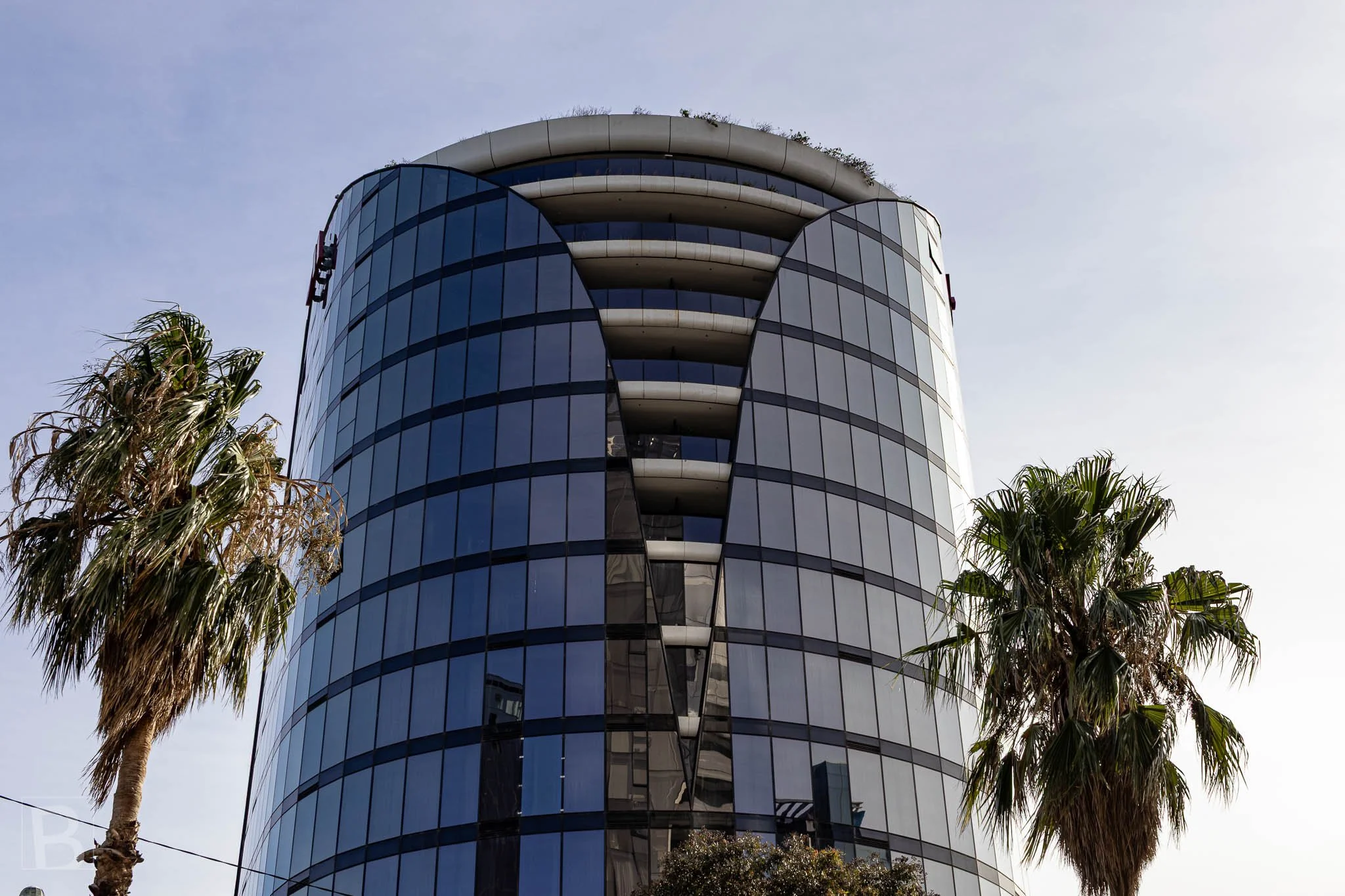 Reflective glazing and curved terraces form an urban backdrop to
palms, bringing tropical foliage into a sleek architectural composition.