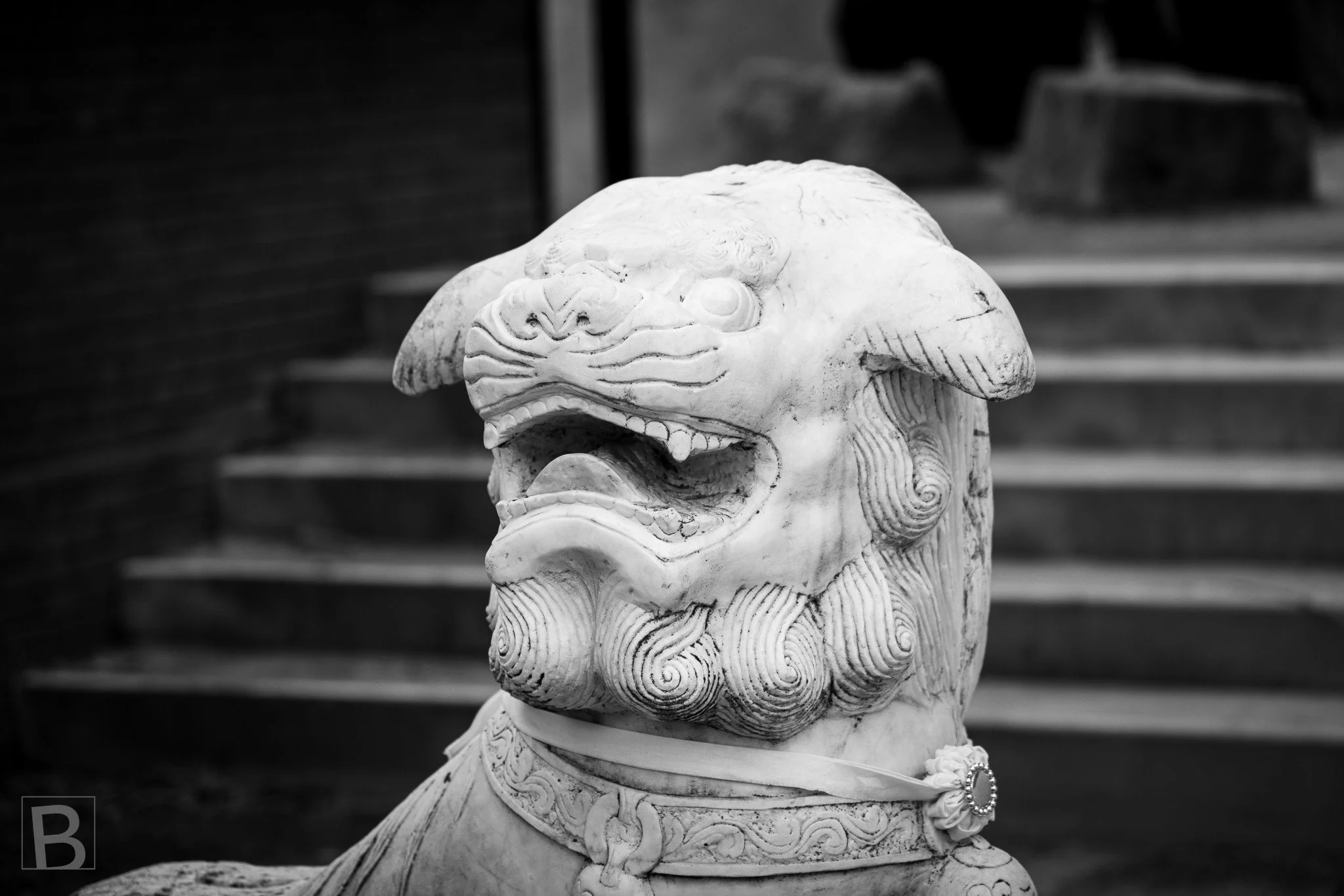 Black and white close-up of a carved Chinese guardian lion at Yi Yuan Gardens in Bendigo.