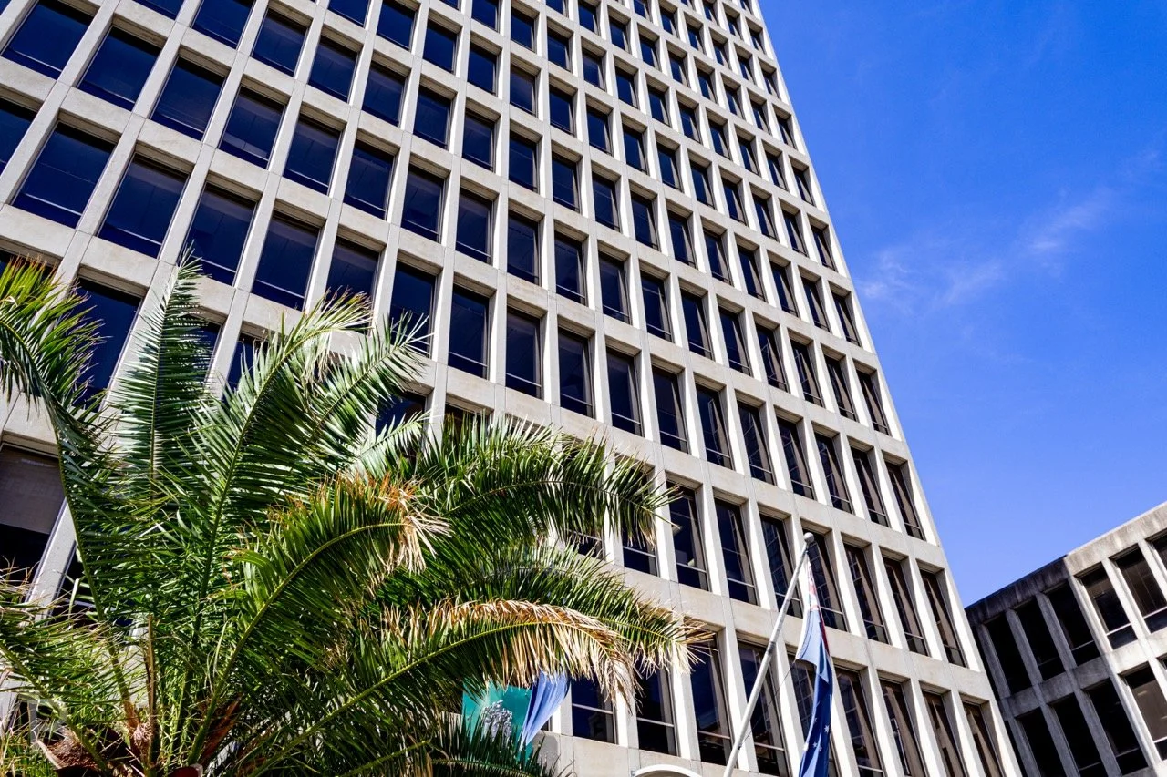 The organic sweep of palm fronds softens a rigid facade, bringing
nature and repetition together in an upward city view.