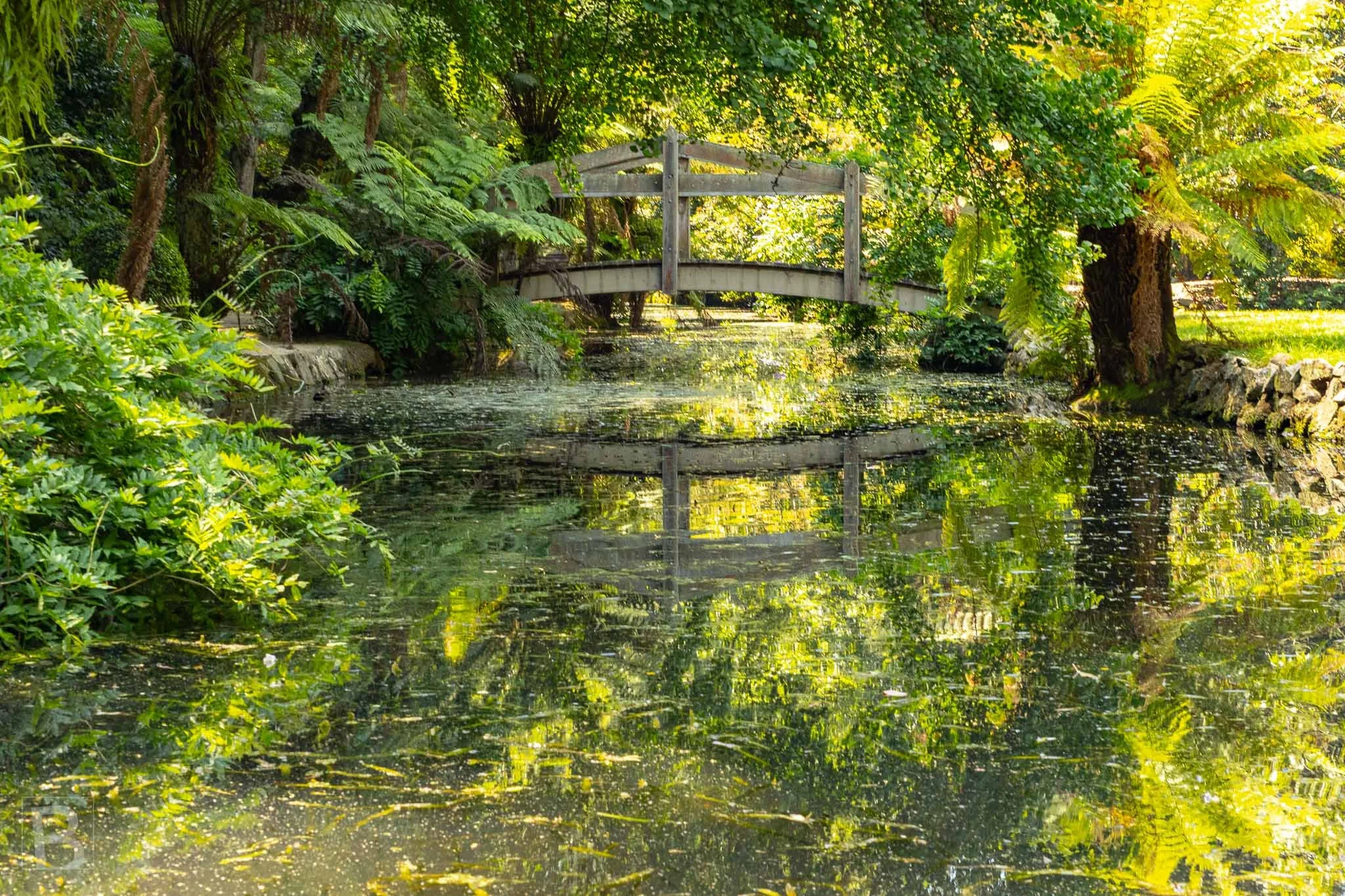 A timber bridge rests within a lush garden, doubled in the still pond
below and softened by dappled light.