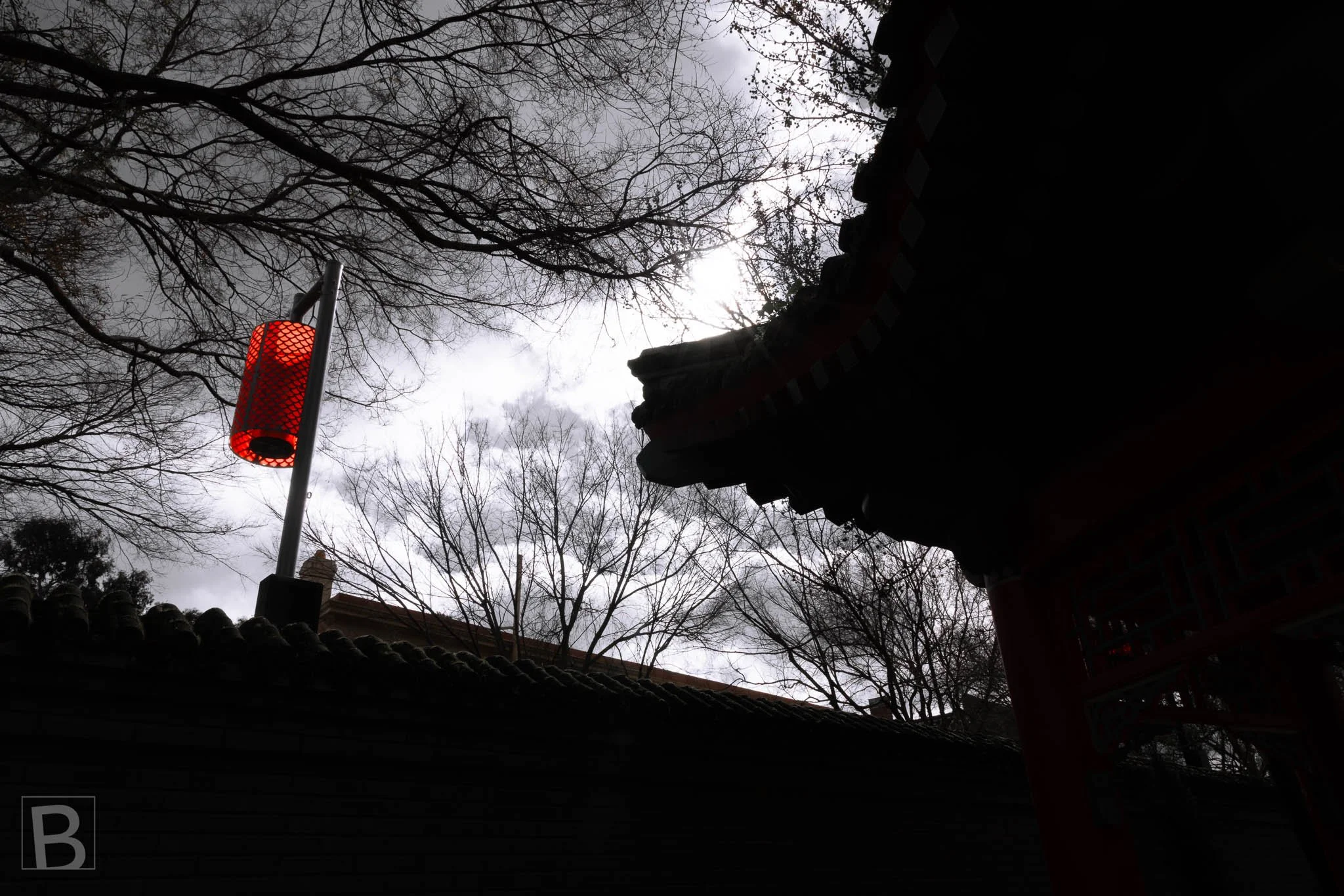 An overlooked detail at Bendigo's Yi Yuan Gardens, isolating a single red lantern beneath the dark
roofline against a muted sky and winter branches.