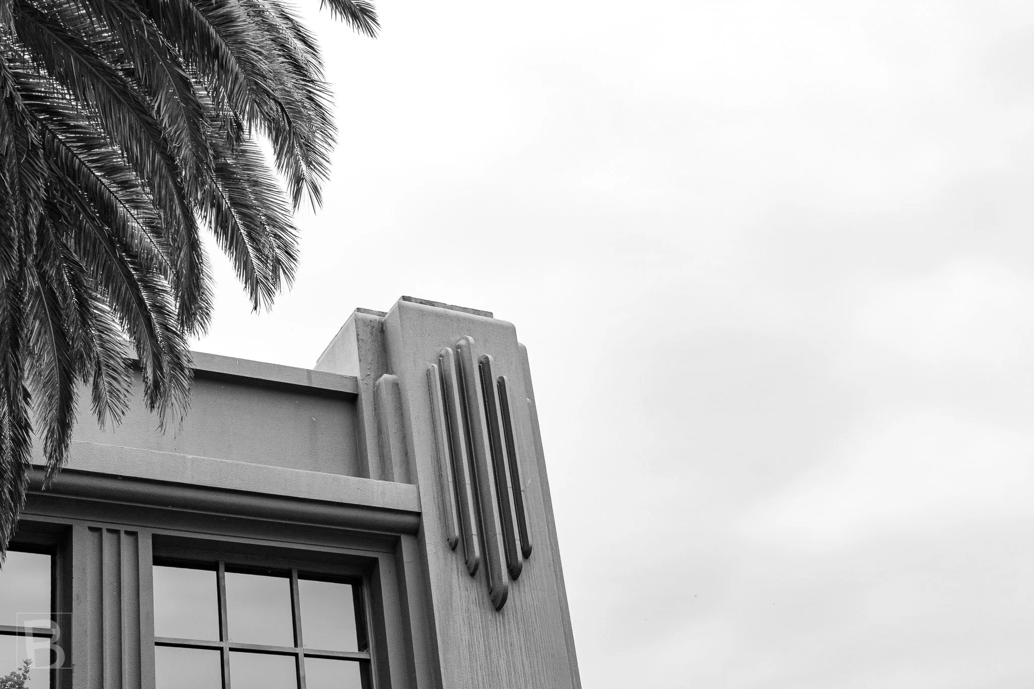 Vertical fins and a stepped crown give the low building a confident
silhouette, softened by the nearby palm.