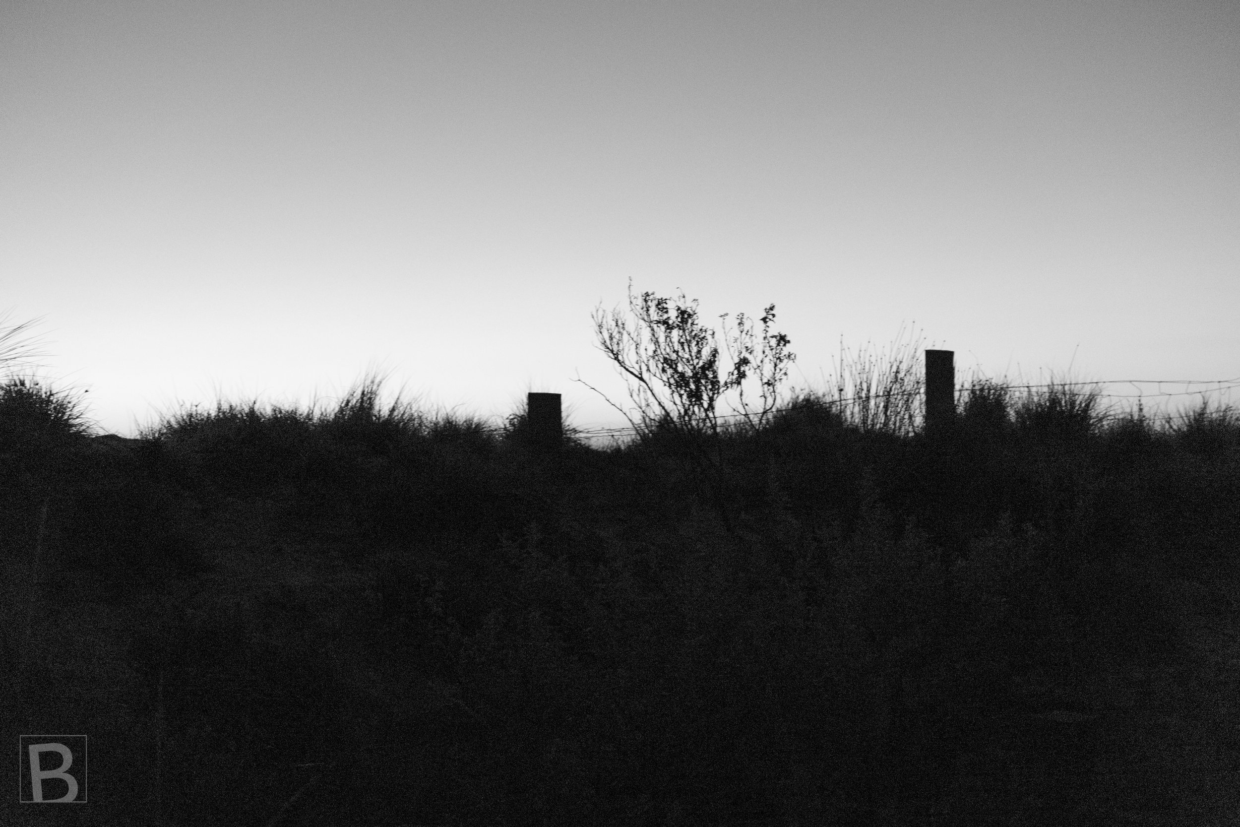 A restrained black-and-white study of scrub, grasses and posts at the
coastal edge, defined by space and subtle texture.