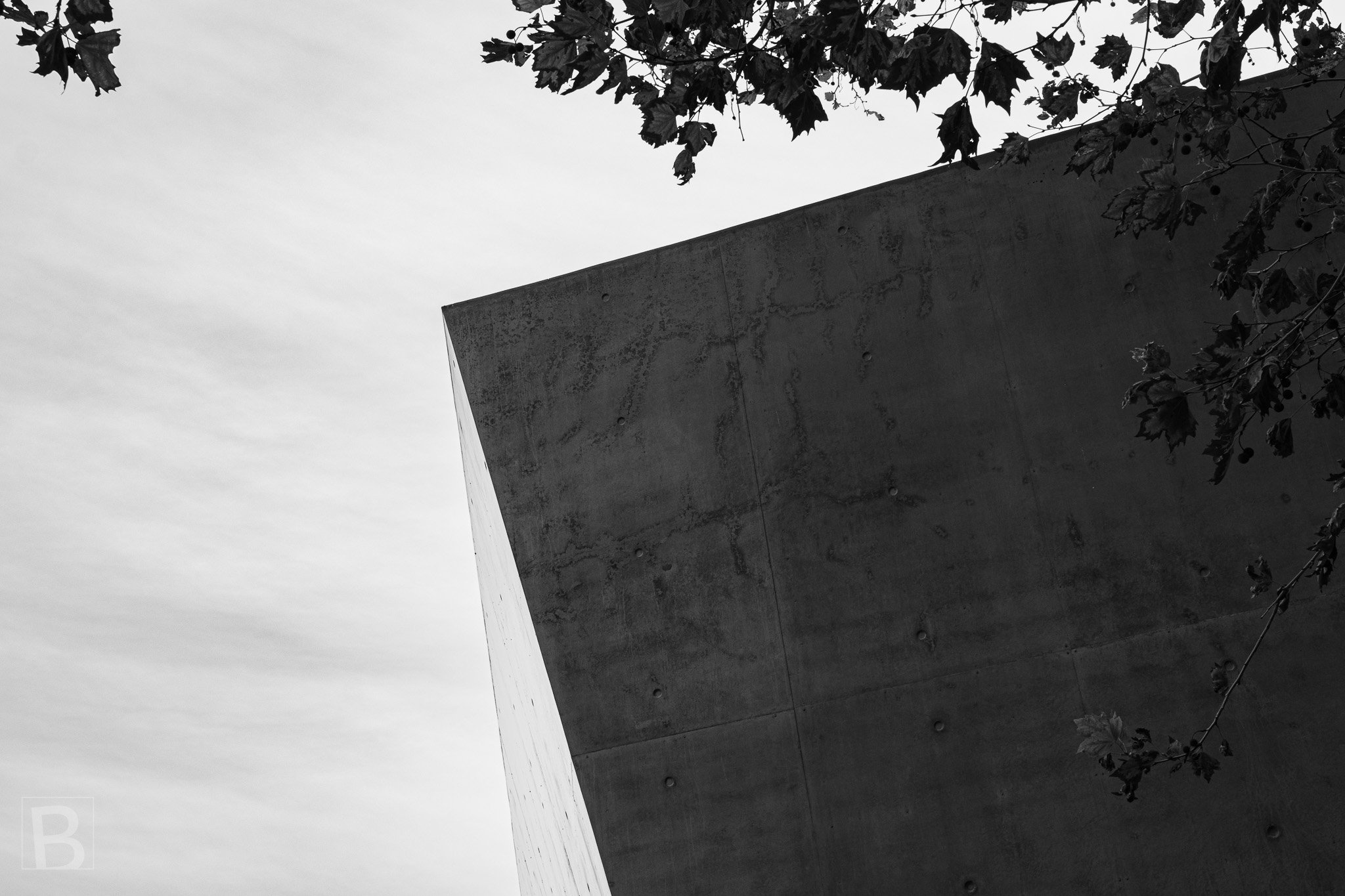 A severe cantilevered surface and delicate foliage meet in a minimal
study of weight, texture and negative space.