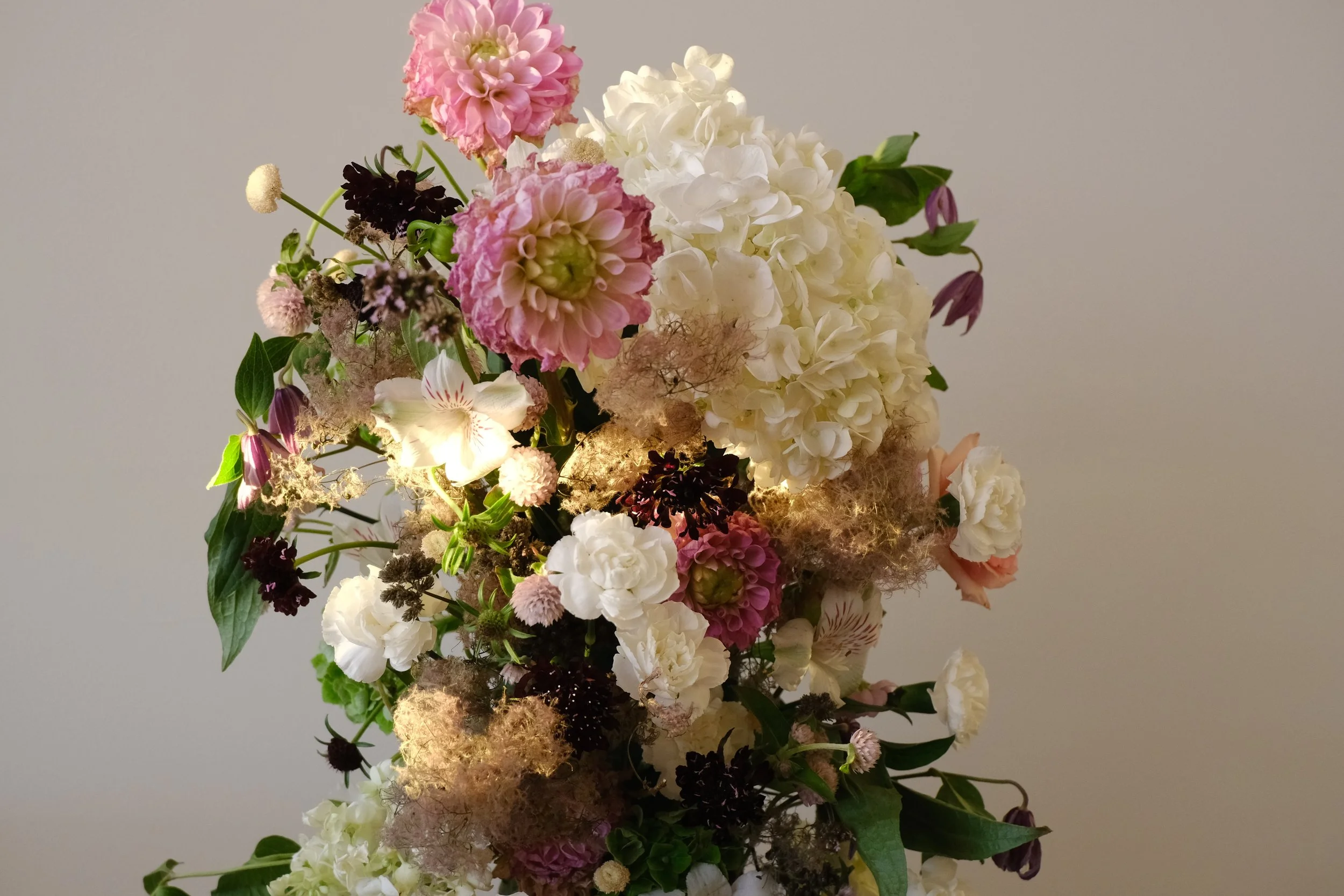 DSCF4326.JPG