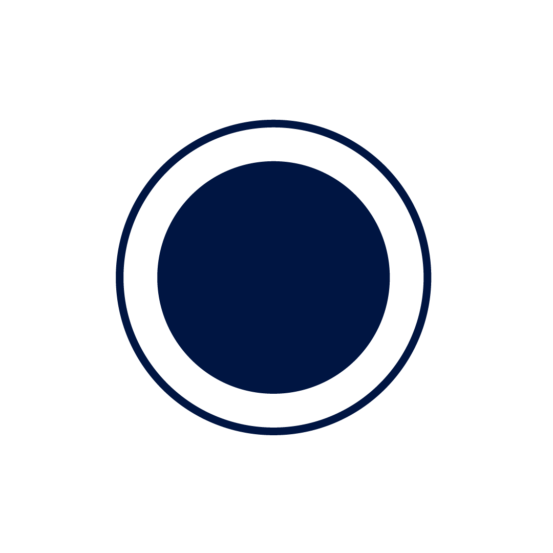 Icon of a dark blue circular object with concentric rings.