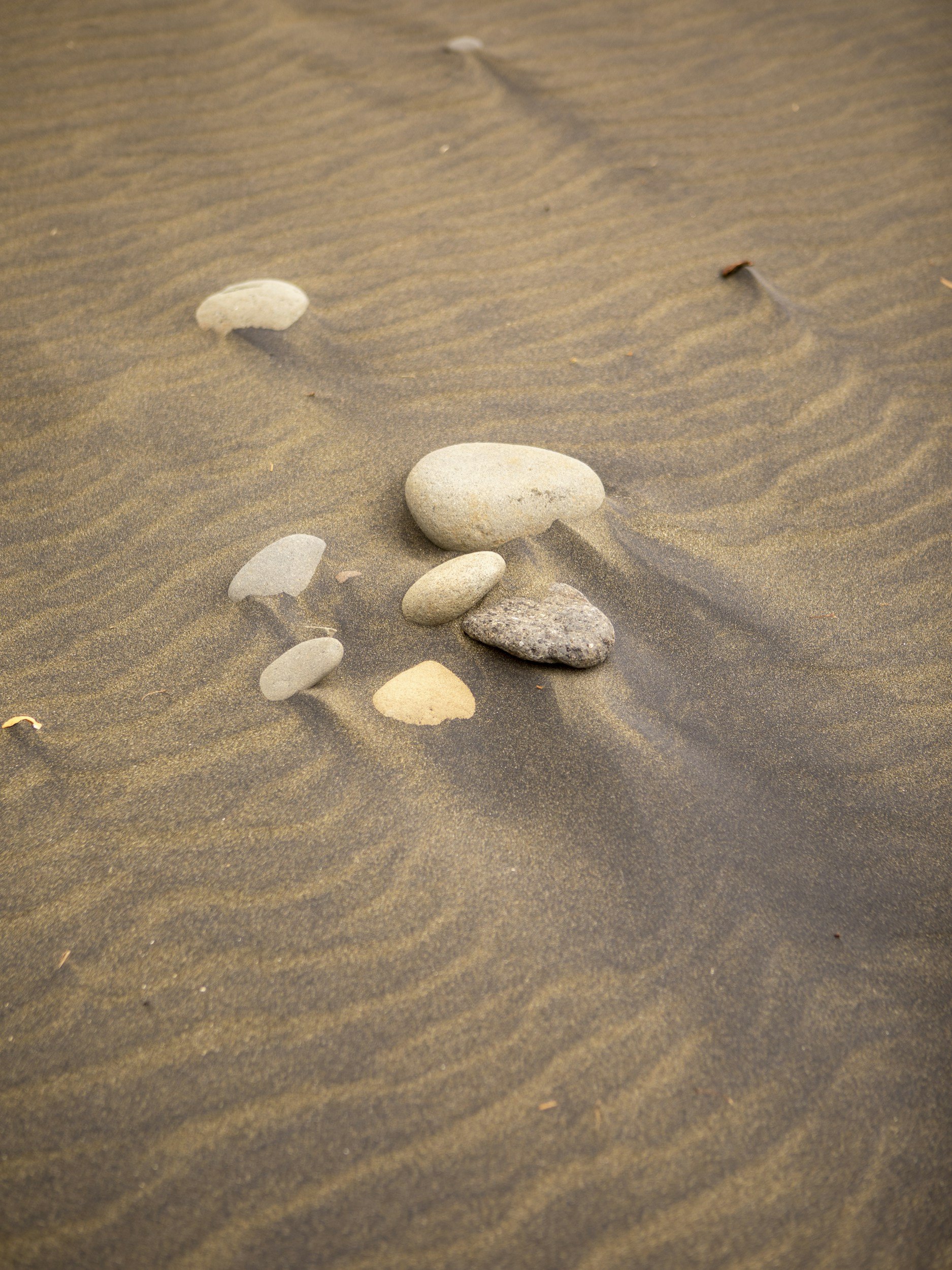 A line of various sized stones arranged on wet sand with ripples, in a beach setting.