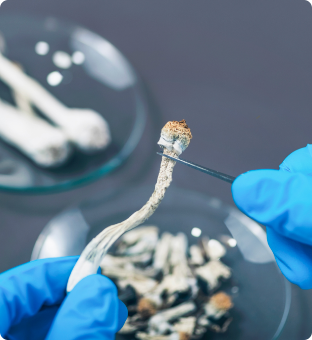 A scientist wearing blue gloves holds psychedelic medicine.