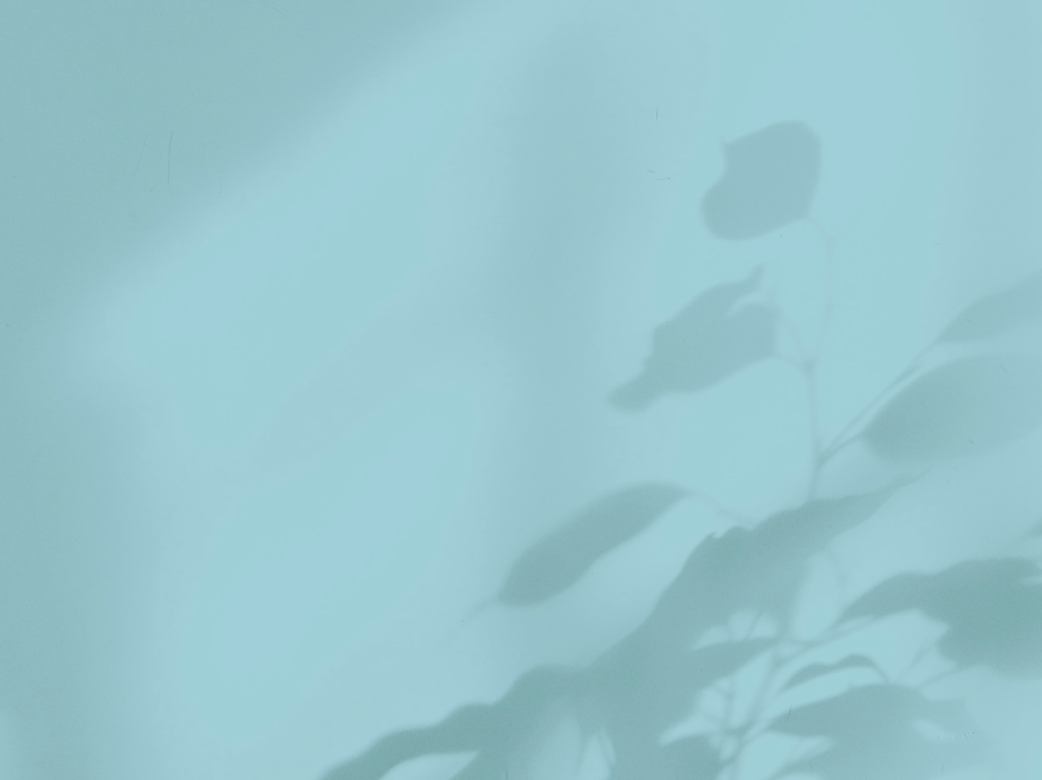 Close-up of a light blue surface with a shadow of a plant leaf.