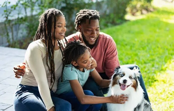 Parents' Guide to understanding your teen (29 Pages)