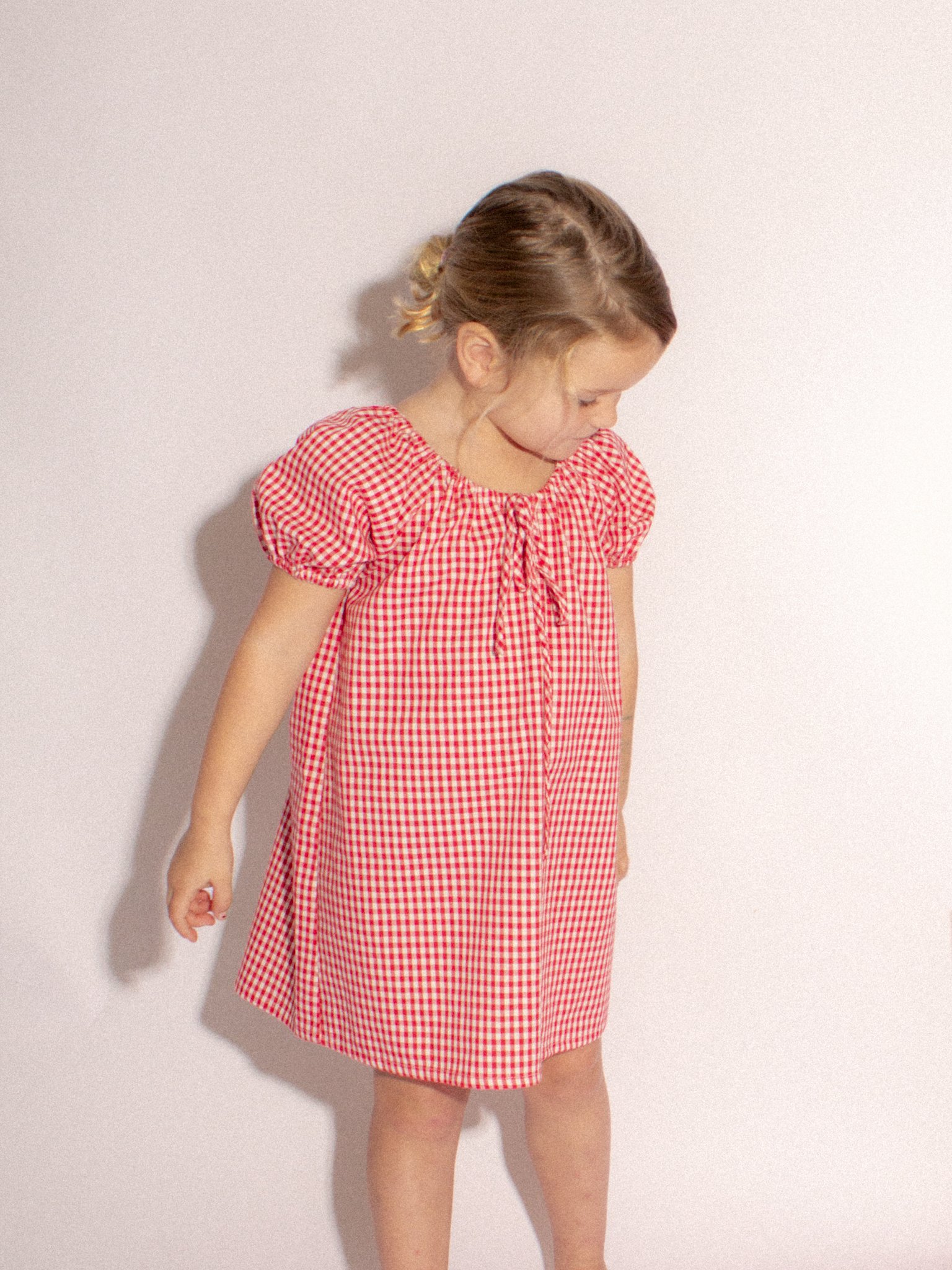 Departmentdonvioletdressredgingham-19.jpg