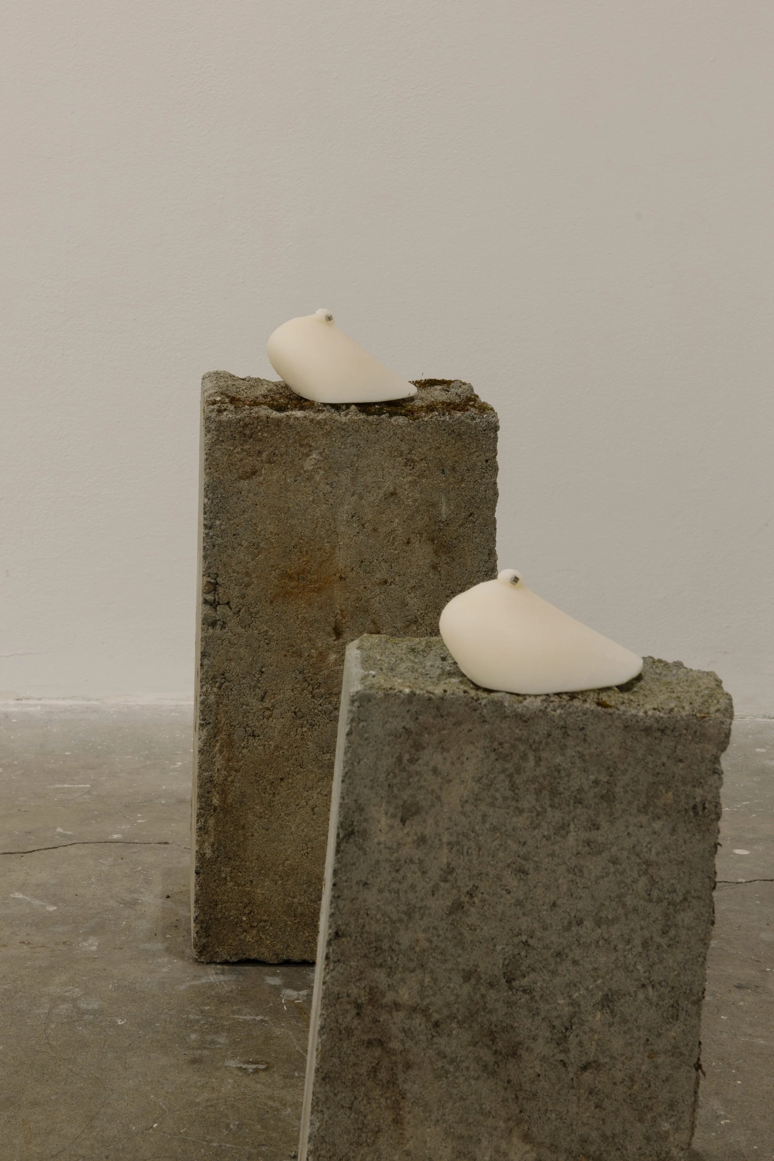 perfect tits, 2026
material: soy wax, piercing jewelry, latex, glitter and 2 salvaged concrete blocks
left: 6" x 4.5" x 3" right: 6" x 6" x 3", $howmuchdouthinkmytitsrworth? 