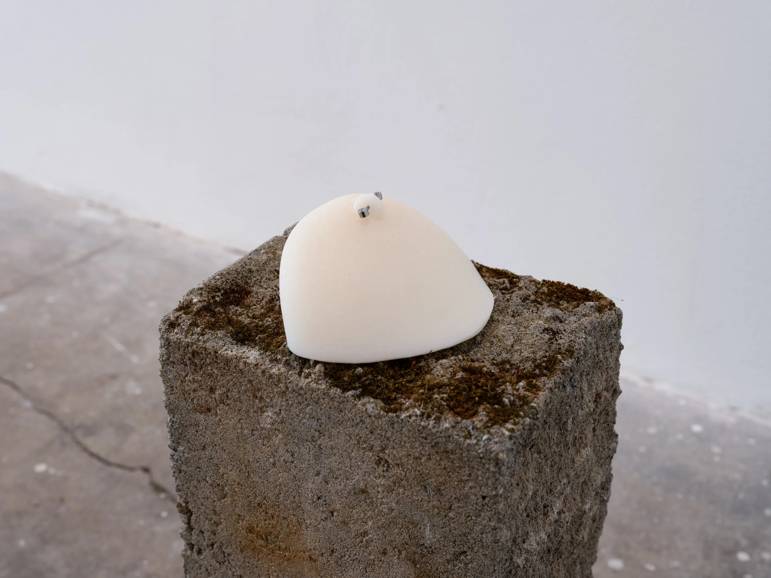 perfect tits (detail shot), 2026
materials: soy wax, piercing jewelry, latex, glitter and 2 salvaged concrete blocks 
left: 6" x 4.5" x 3" $howmuchdouthinkmytitsrworth? 
