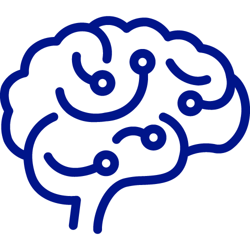 A simple line drawing of a human brain