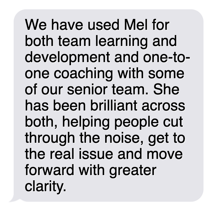 Text message discussing using Mel for team learning, development, and coaching with a senior team, highlighting her brilliance in helping people identify issues and move forward with clarity.