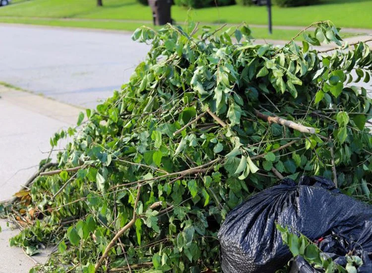 Pile of green fallen tree branches and leaves on the sidewalk next to a street, with a black trash bag partially visible.