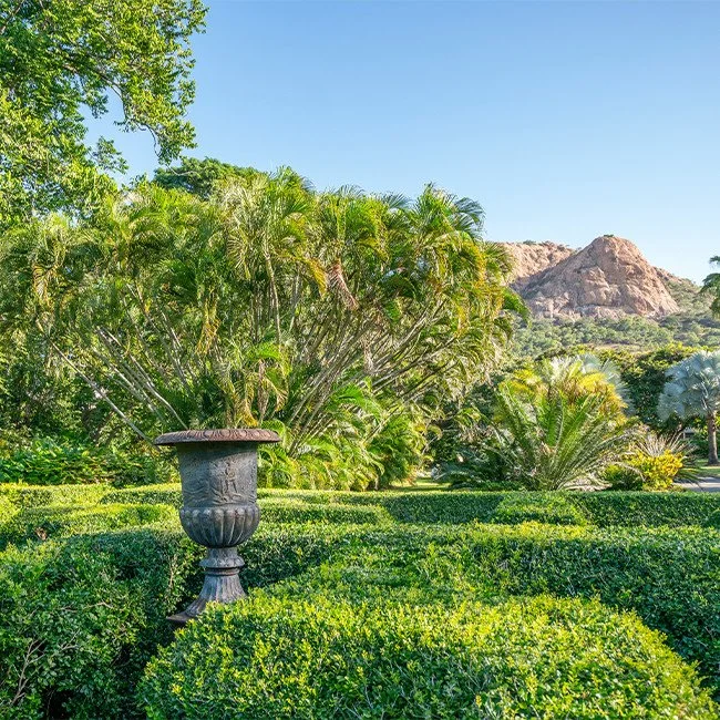 A garden with neatly trimmed green bushes, large palm trees, and a decorative stone urn in the foreground. There are mountains in the background under a clear blue sky.