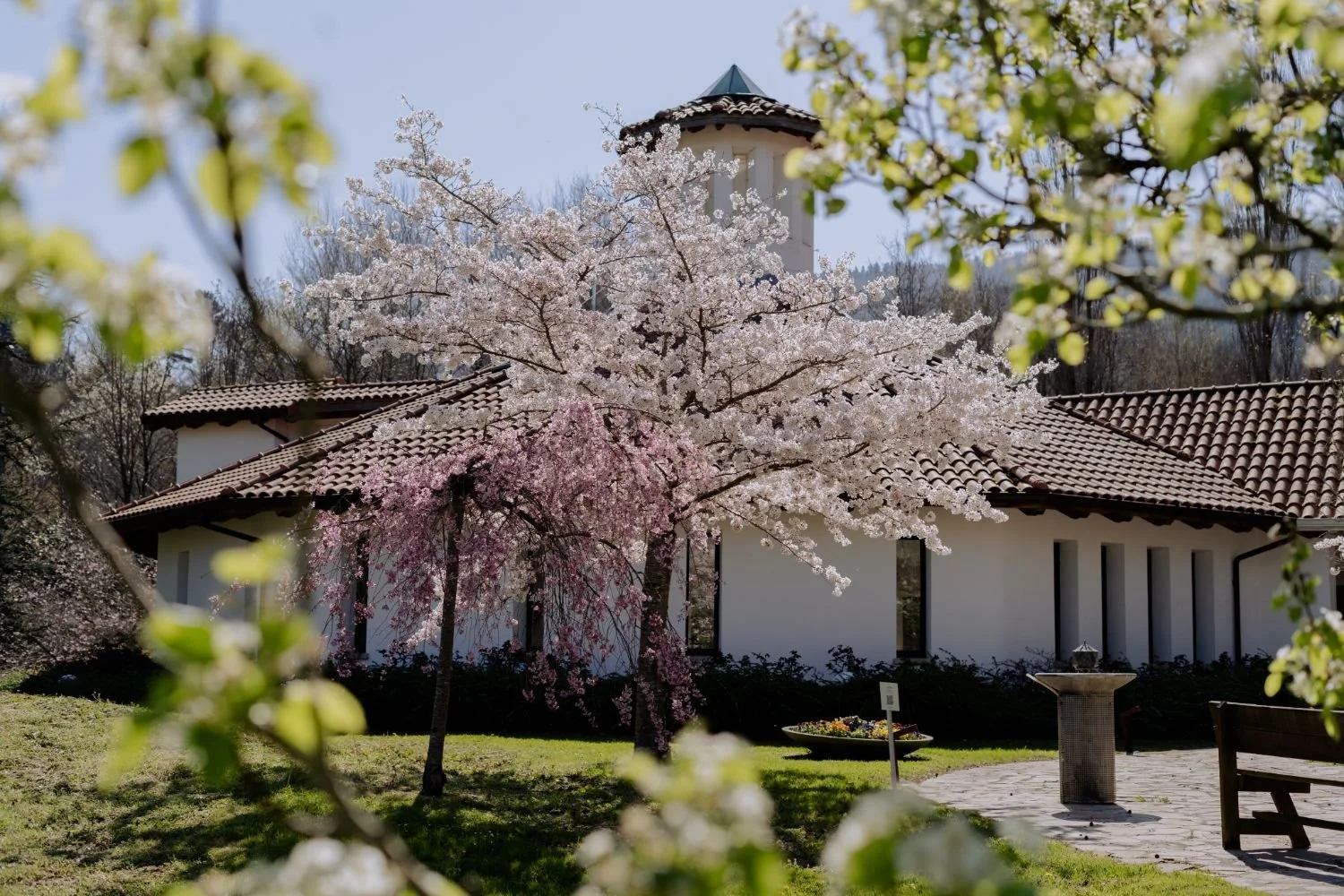 Casa con tejado de tejas rojas rodeada de árboles en flor, en un jardín con césped y senderos.