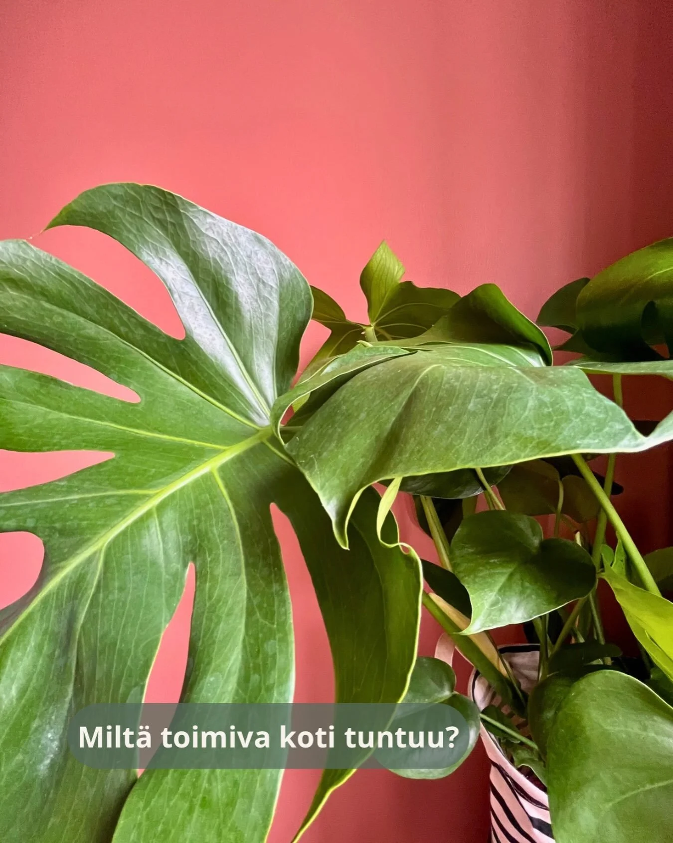 Se tuntuu silt&auml;, ett&auml; tavarat l&ouml;ytyv&auml;t ilman etsimist&auml;.
Ett&auml; aamulla on helppo l&auml;hte&auml; liikkeelle.
Ett&auml; koti hengitt&auml;&auml; eik&auml; kuormita.
Ett&auml; siell&auml; on hyv&auml; olla &ndash; my&ouml;s