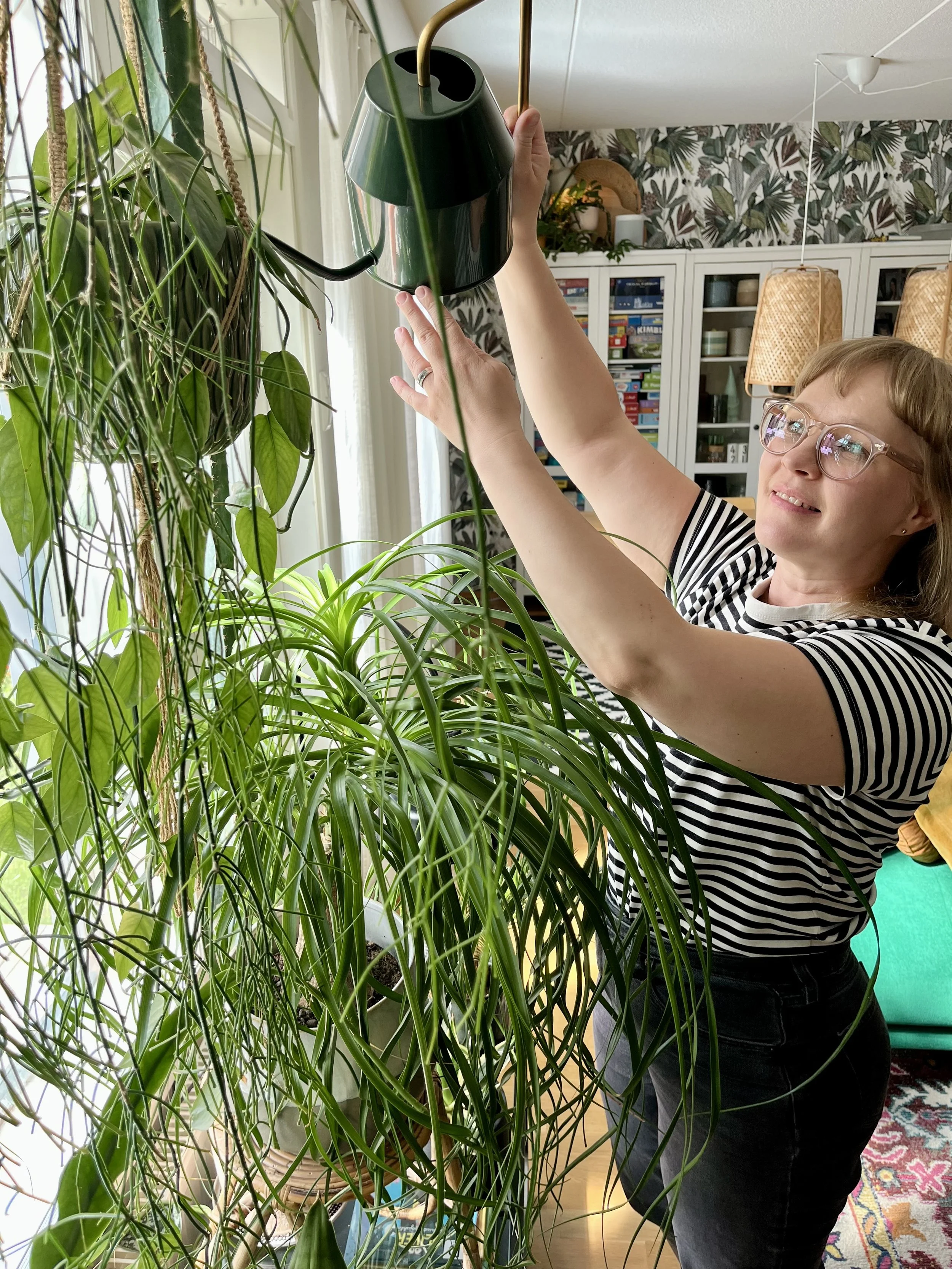 Hortonomi hoittaa huonekasveja kotona Espoossa.