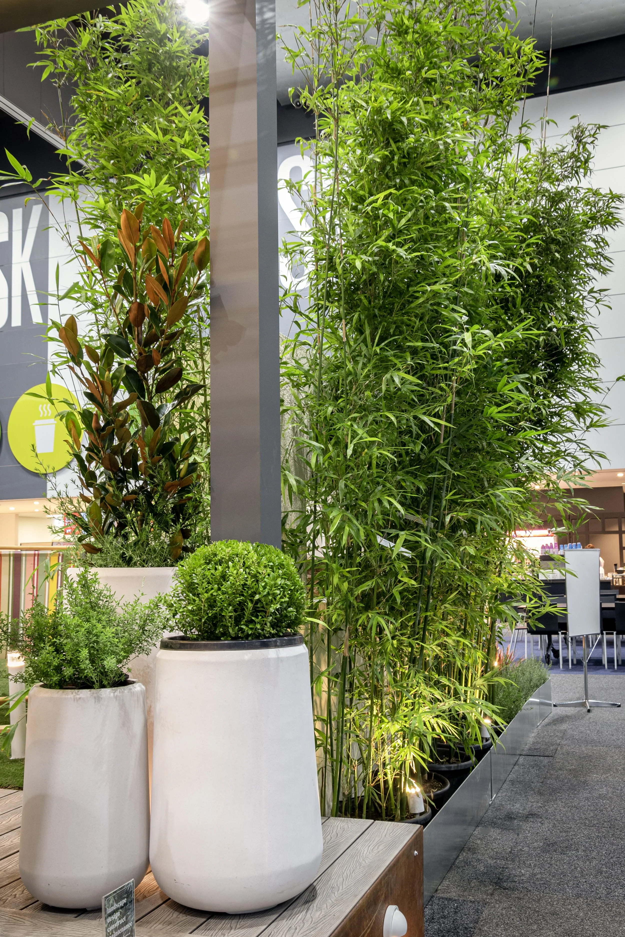Indoor display of potted green and brown plants, including tall bamboo, on a wooden table with a sign reading 'landscape design & construction maintenance' in a retail setting or mall.