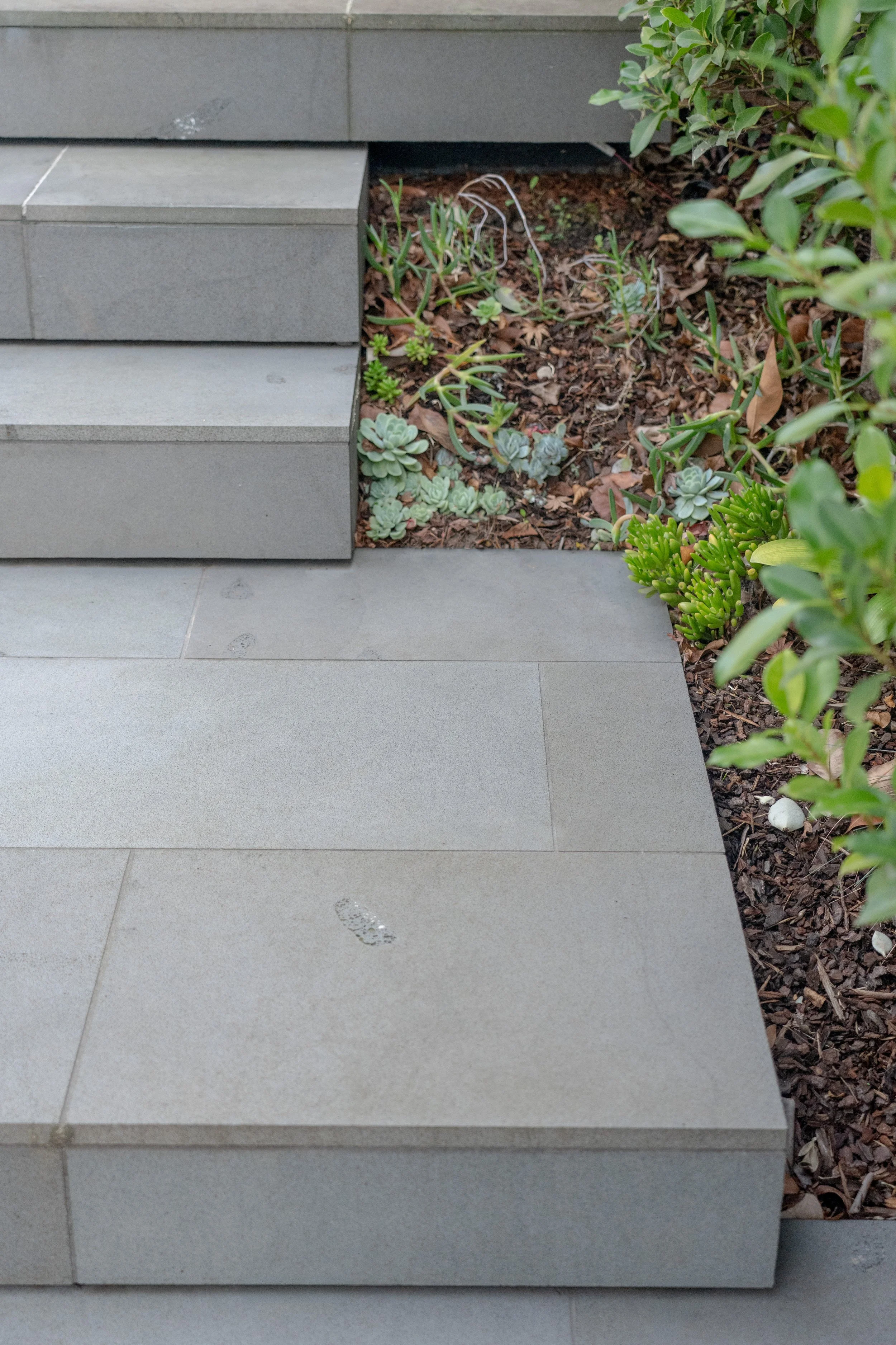 Gray stone steps next to a garden bed with plants and leaves.